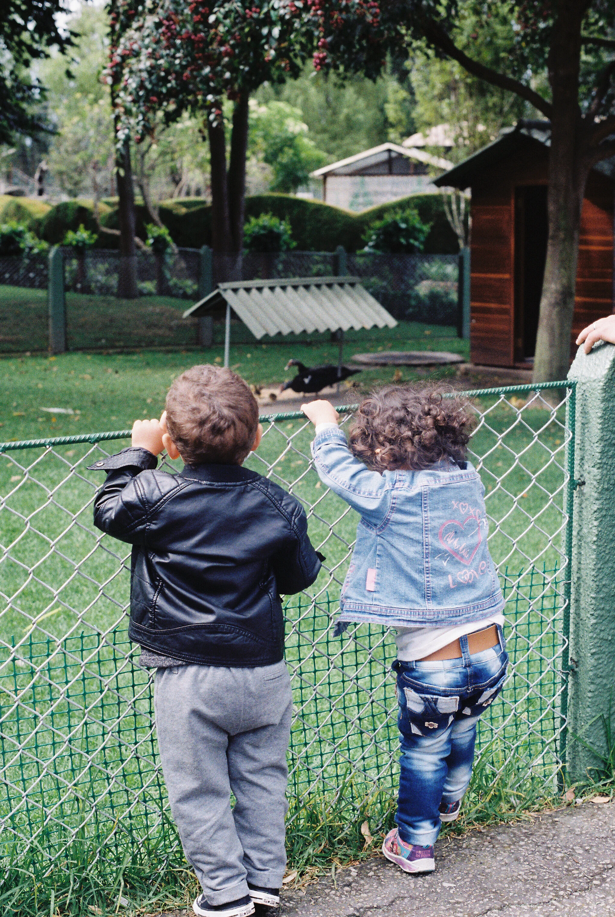 Colombia Kodak Gold 200
