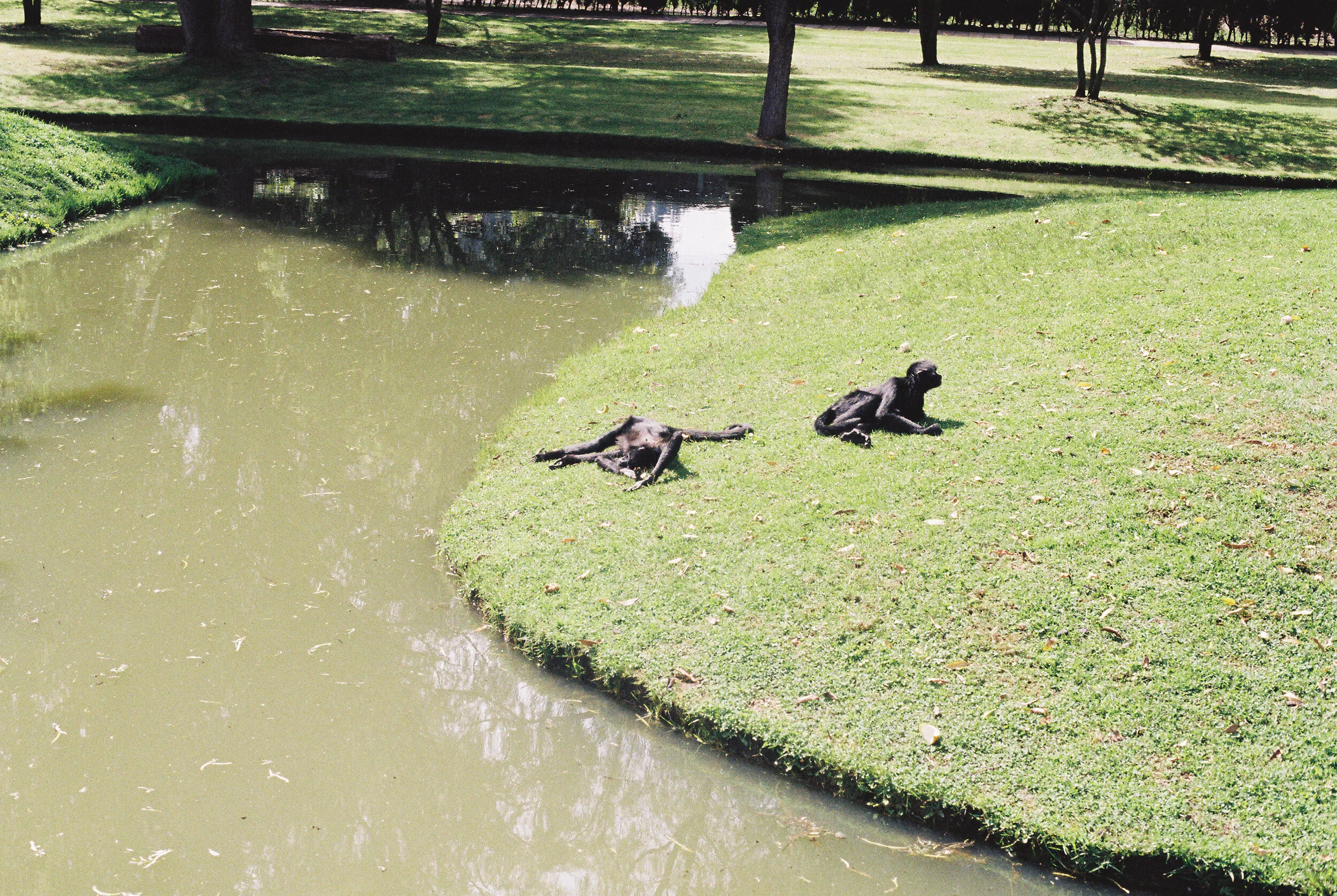 Colombia Kodak Gold 200