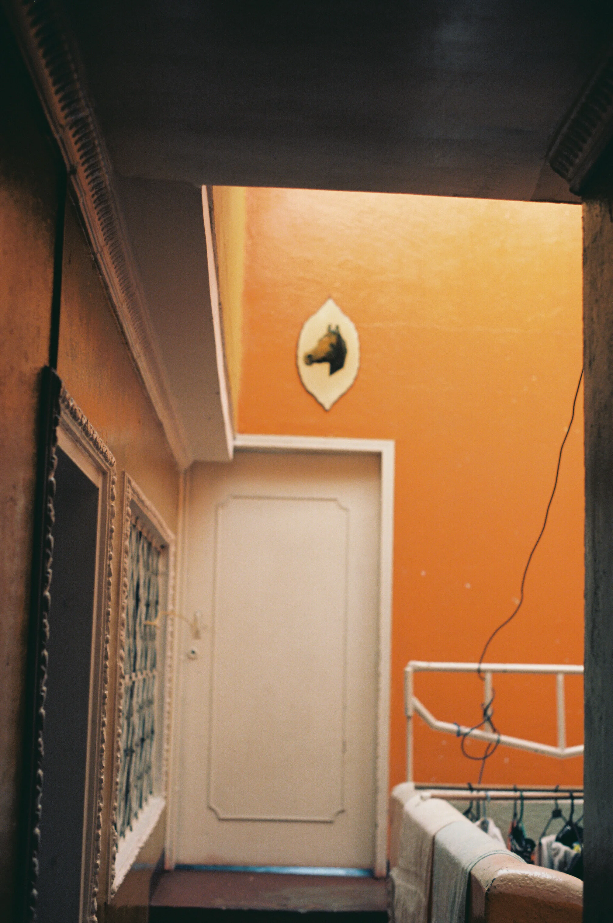 Colombia on Ektar 100