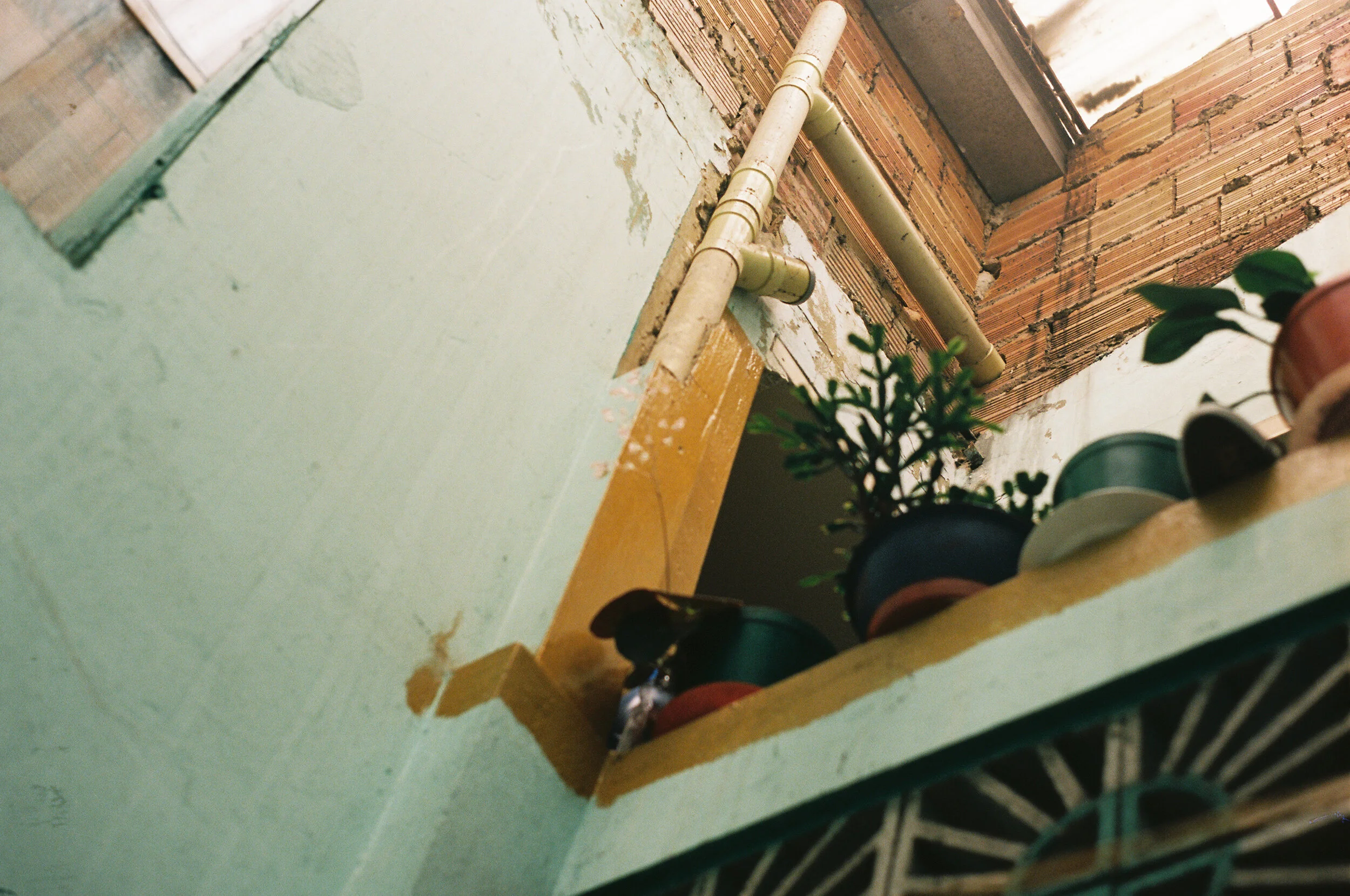 Colombia on Ektar 100
