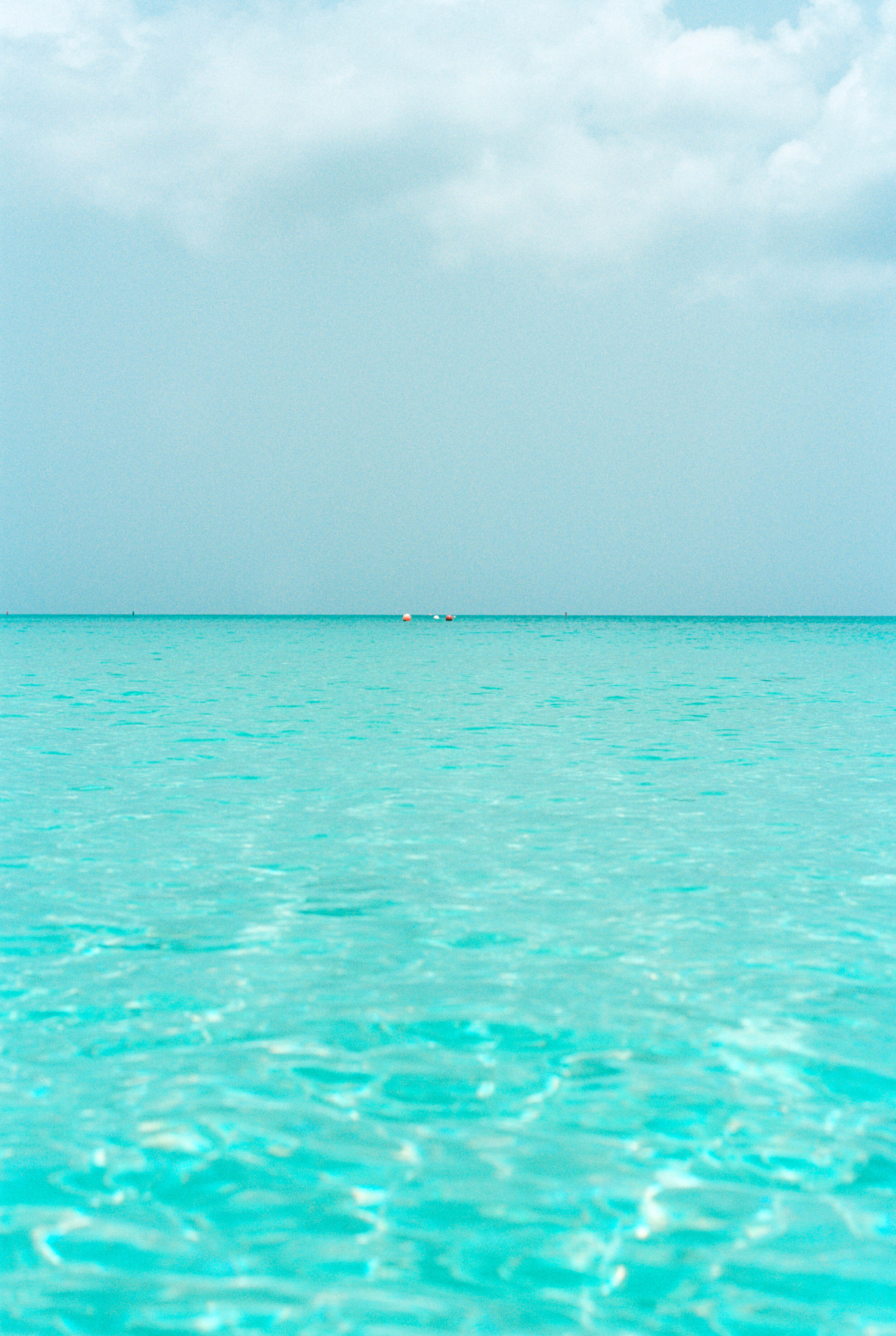12671_14.jpg