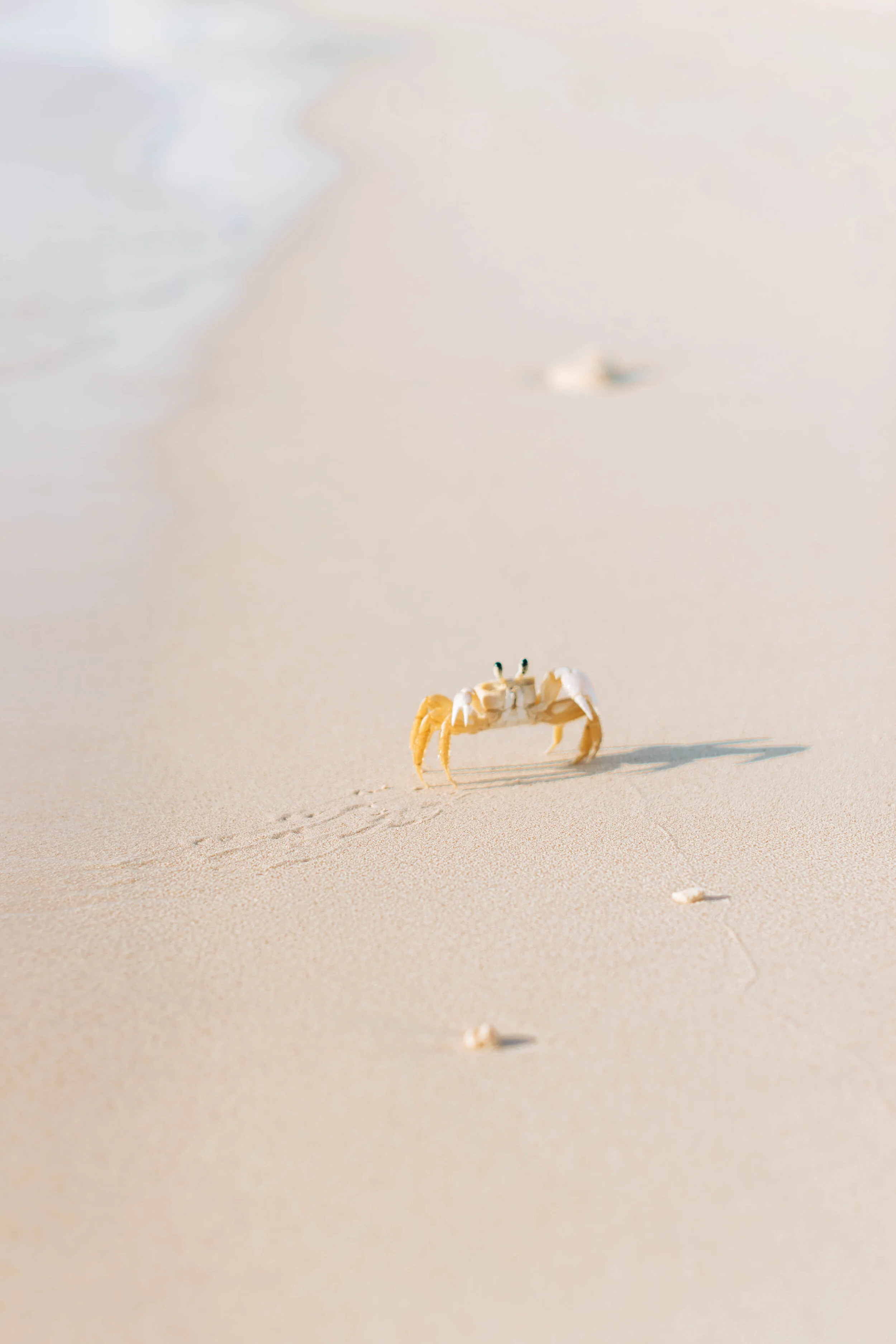 Grand Cayman