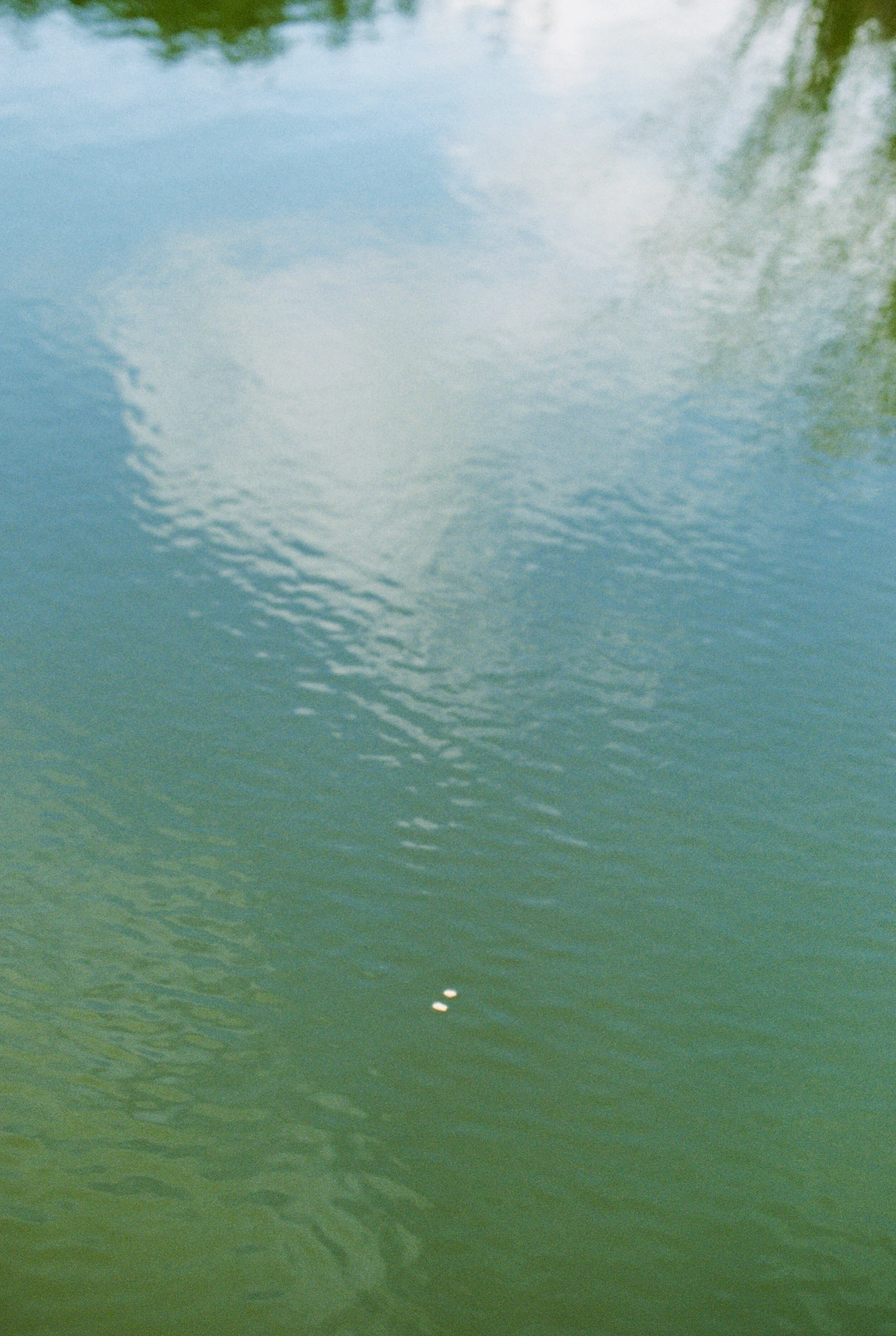 32489_09.jpg