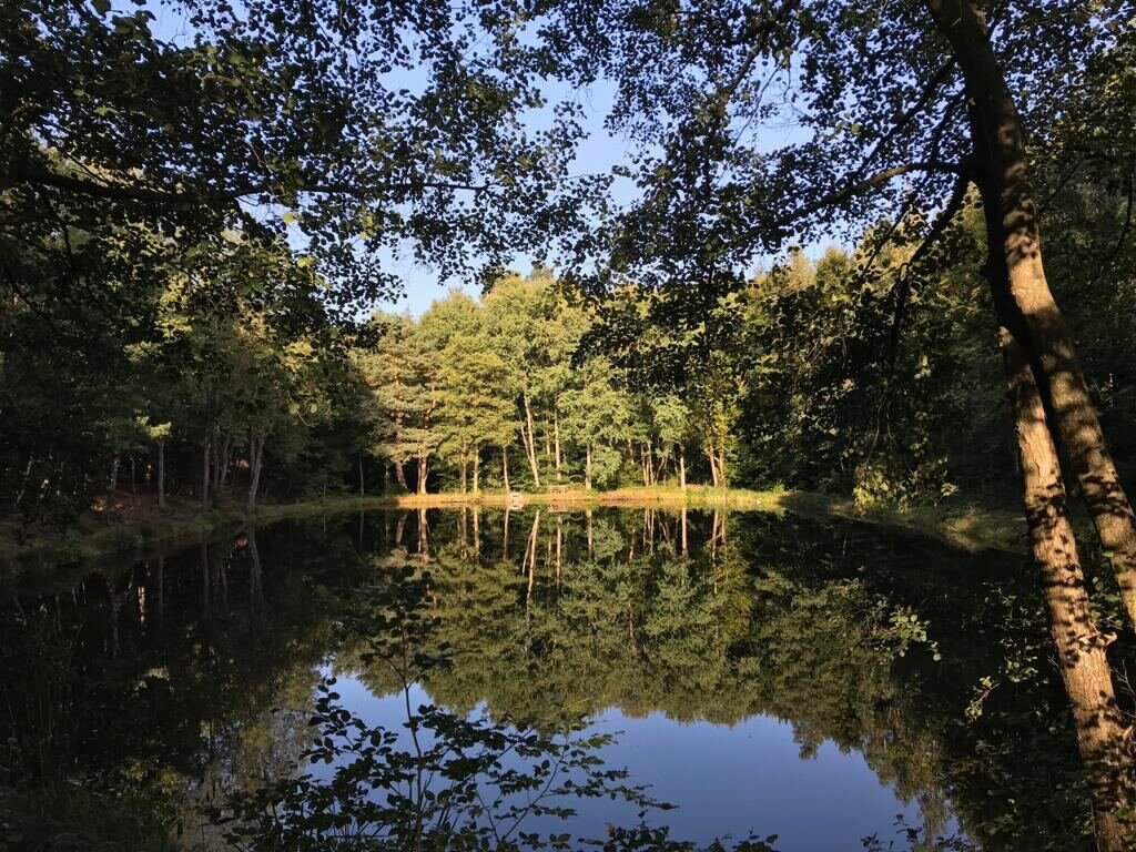 VIEW OF PALATINATE. Submitted by Uli, a huntress.