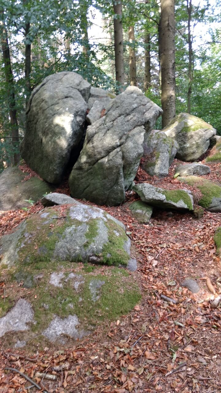 Felsenmeere und sogenannte " Wollsackverwitterungen" sind typisch für den vorderen kristallinen Odenwald.
Auf den vorangegangenen Bildern ist eine Granitgruppe zu sehen ( Entstehungszeit: vor 370 Mio Jahren), die der Volksmund "Zigeunersgrab" genannt