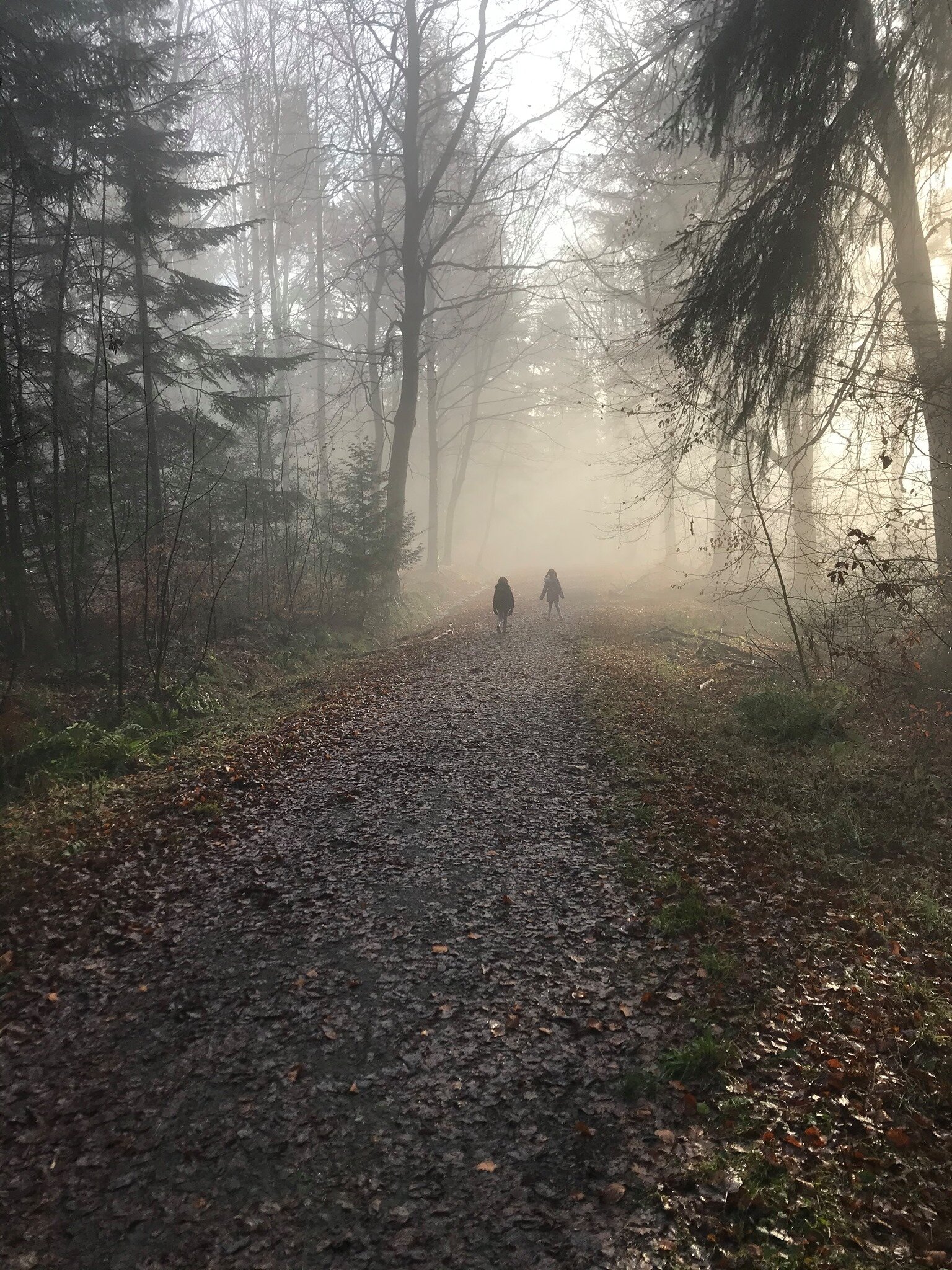 FOGGY DAY IN CHOPWELL. Submitted by Annie.