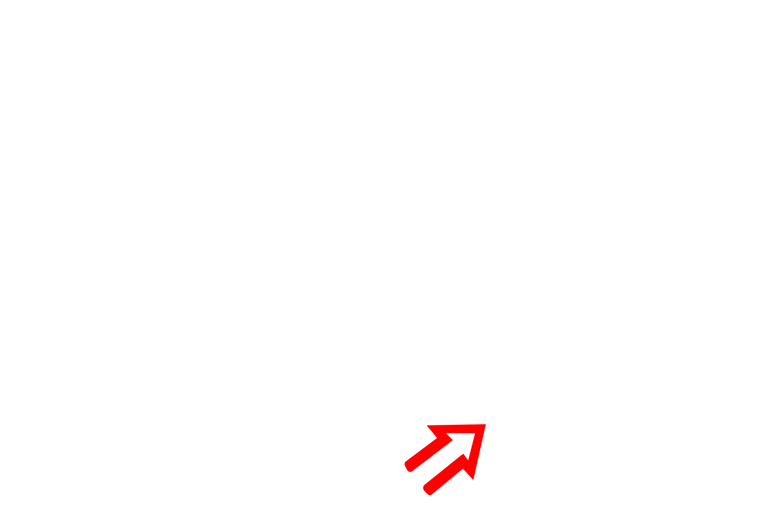 Model Guide Pro