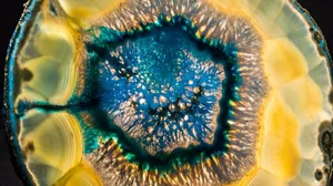 Capricorn Birthstones — birthstone.guide