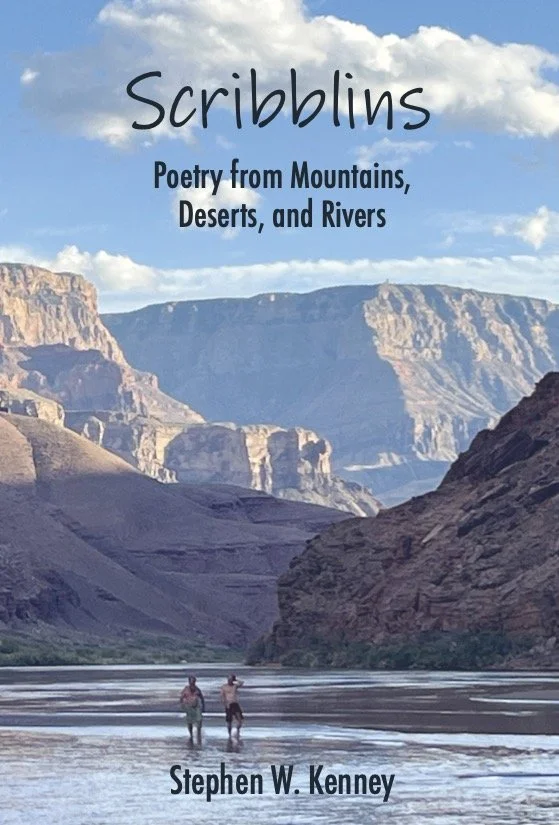 Preorder - Scribblins - Steve Kenney