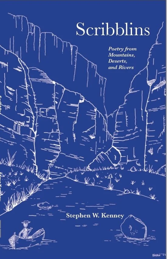 Preorder - Scribblins - Steve Kenney