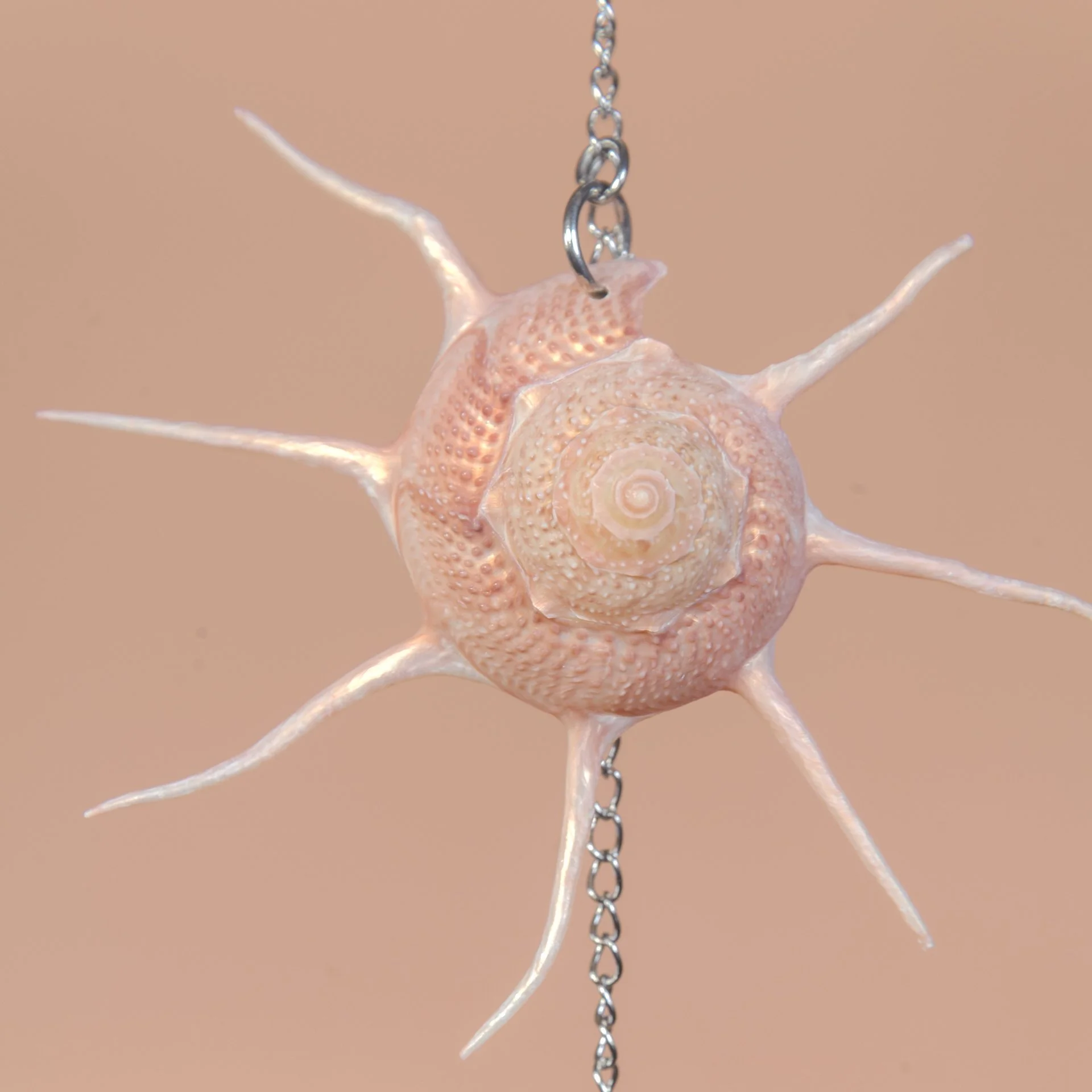 NIA Nature Inspired Art Hangings on Driftwood-62.JPG