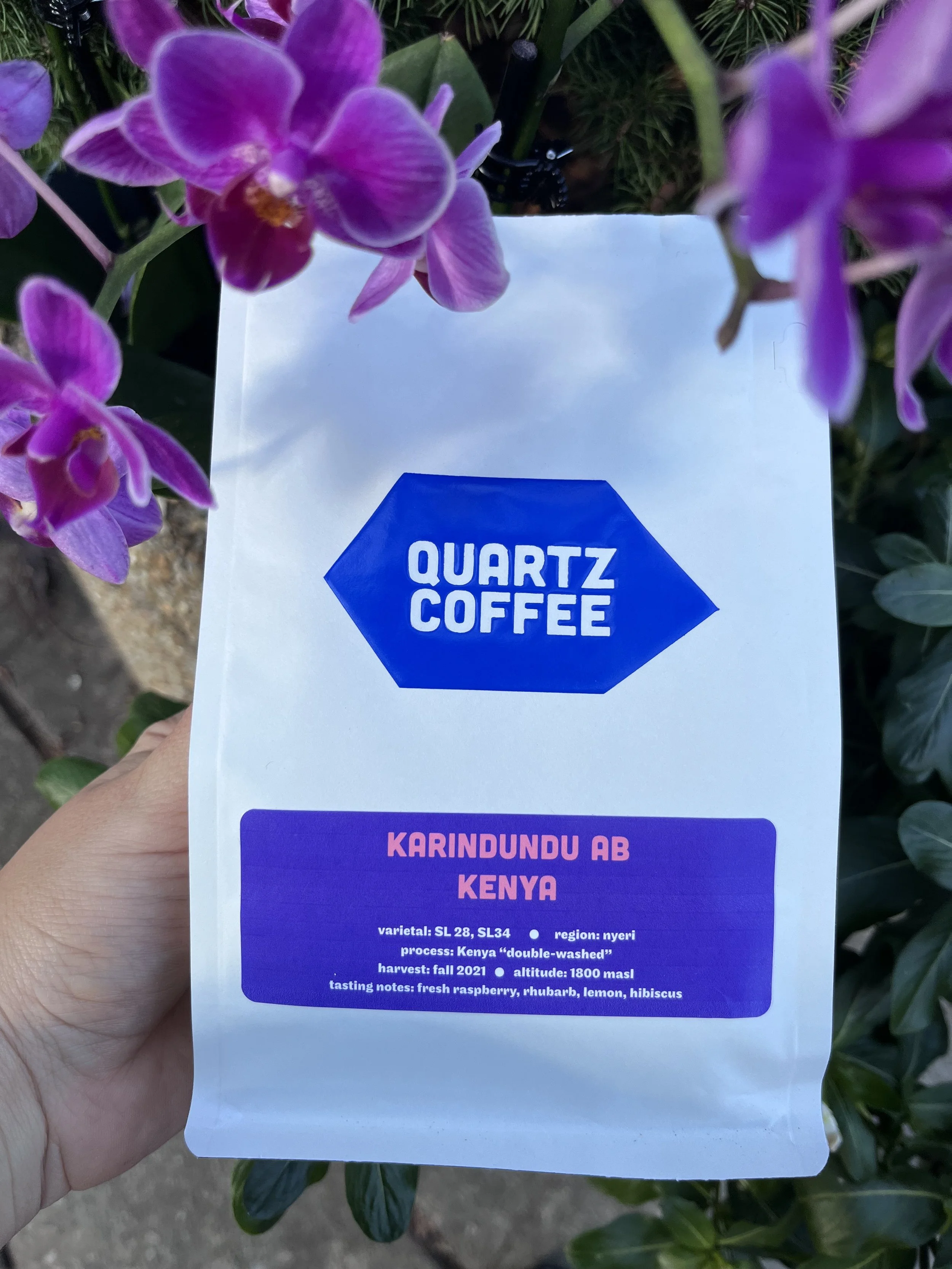 Monteblanco Purple Caturra (Colombia)