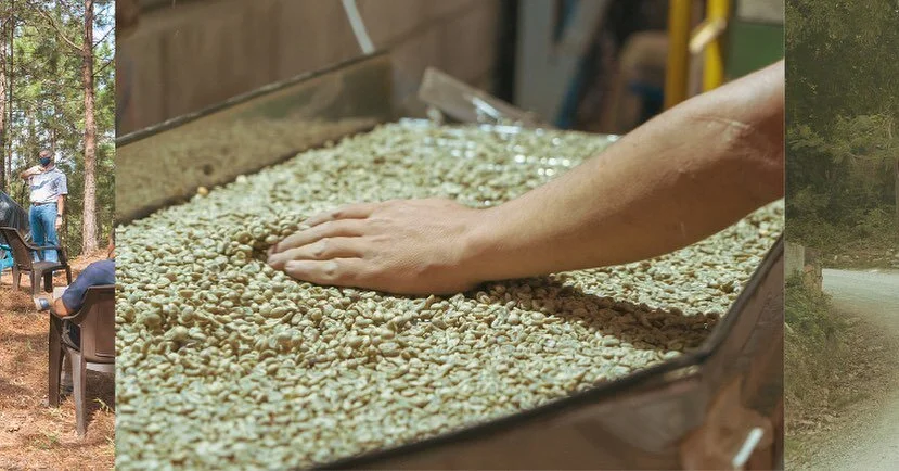 Hey Philly! We’re hosting a cupping this Thursday May 11 with @typica.jp . Stop by to meet some good people, try some amazing coffees and learn more about Typica’s direct trade platform. Please RSVP to @typica.jp .