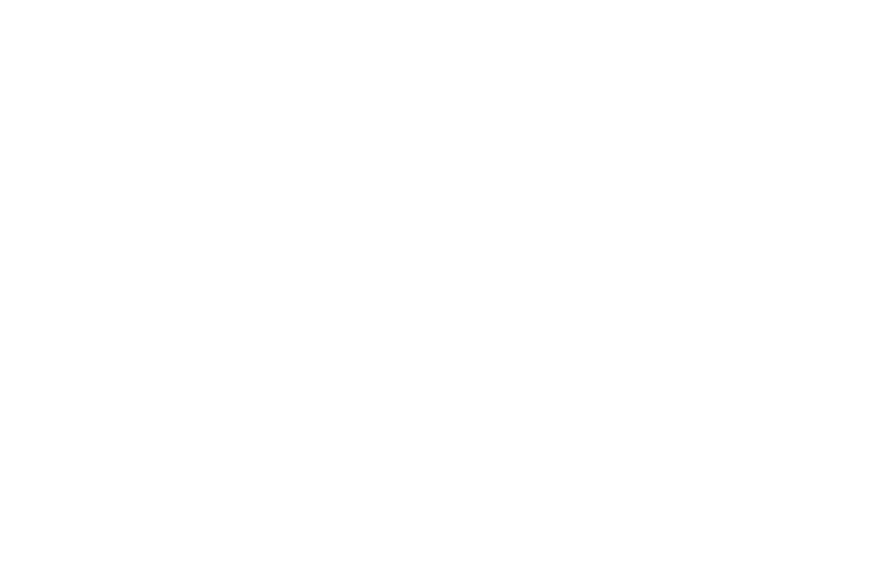 Bimbo.png