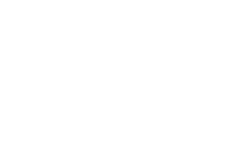 Havas.png