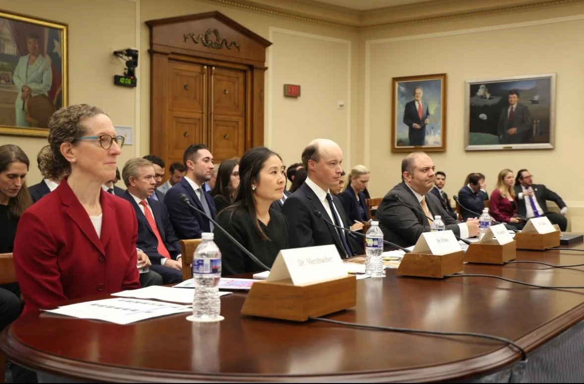 A panel of officials seated at a long table during a formal meeting in a government building, with framed portraits on the wall behind them.