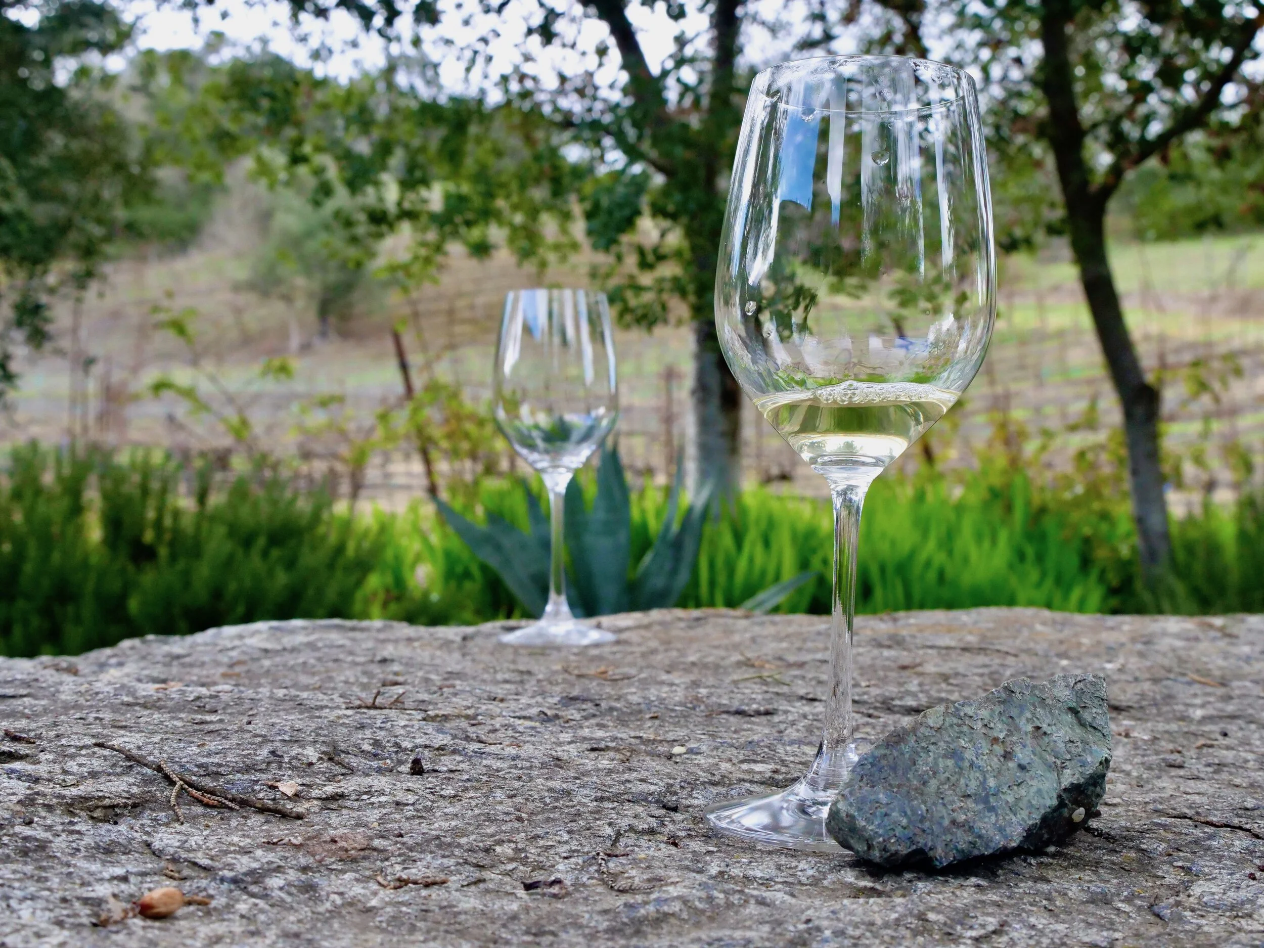 State Rocks and Amazing Wines