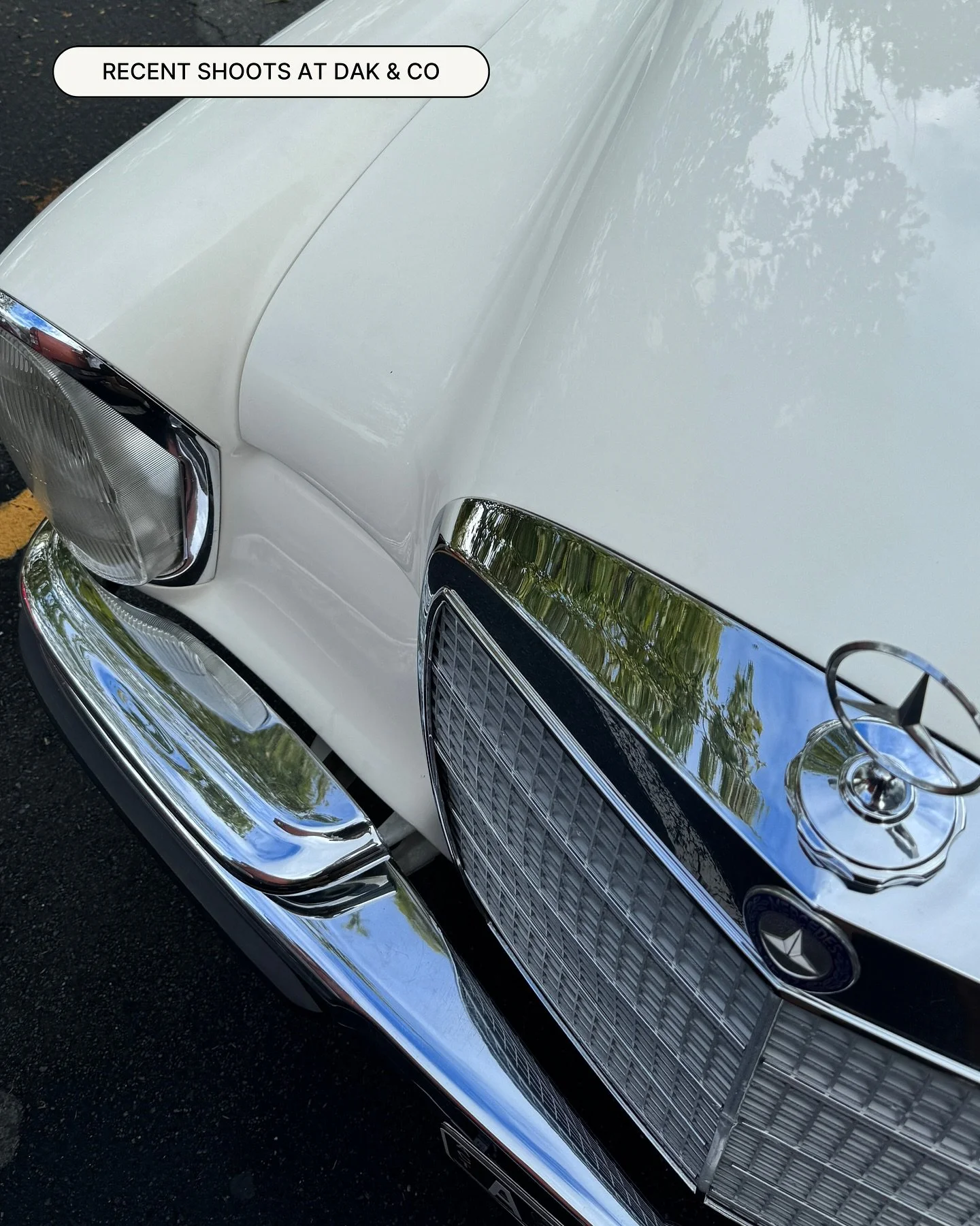 It&rsquo;s been a busy few weeks round here! 🫶🏻