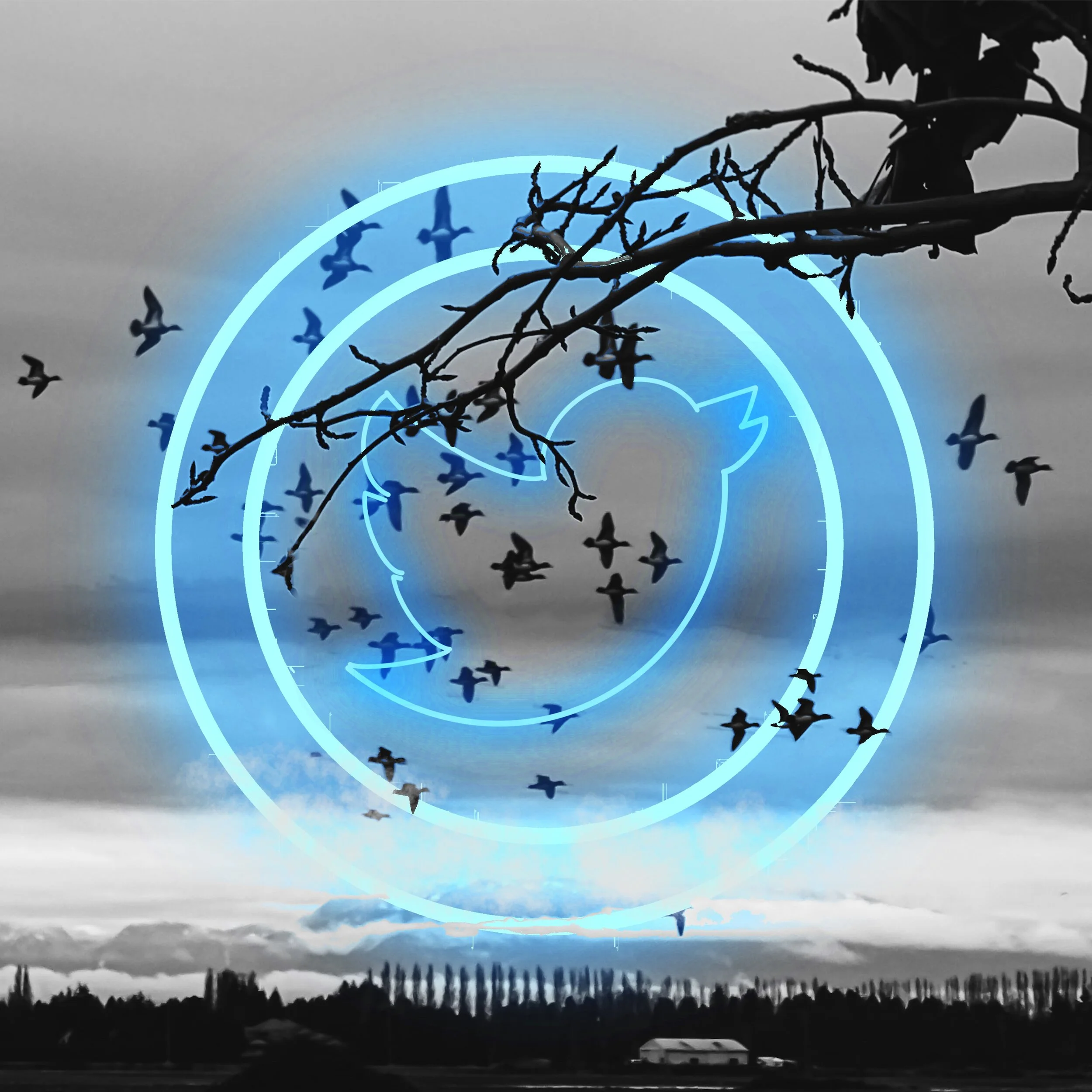 40deuce_twitter_Logo_Button.jpg
