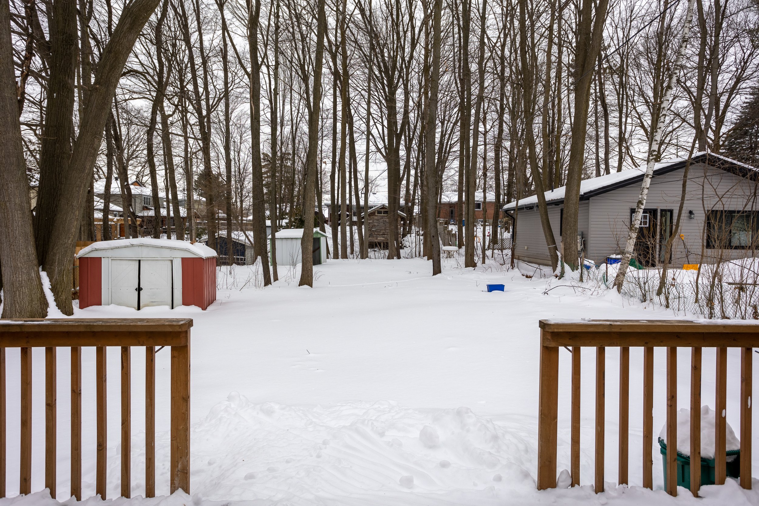 50x180ft lot showcasing ample space & laneway home potential