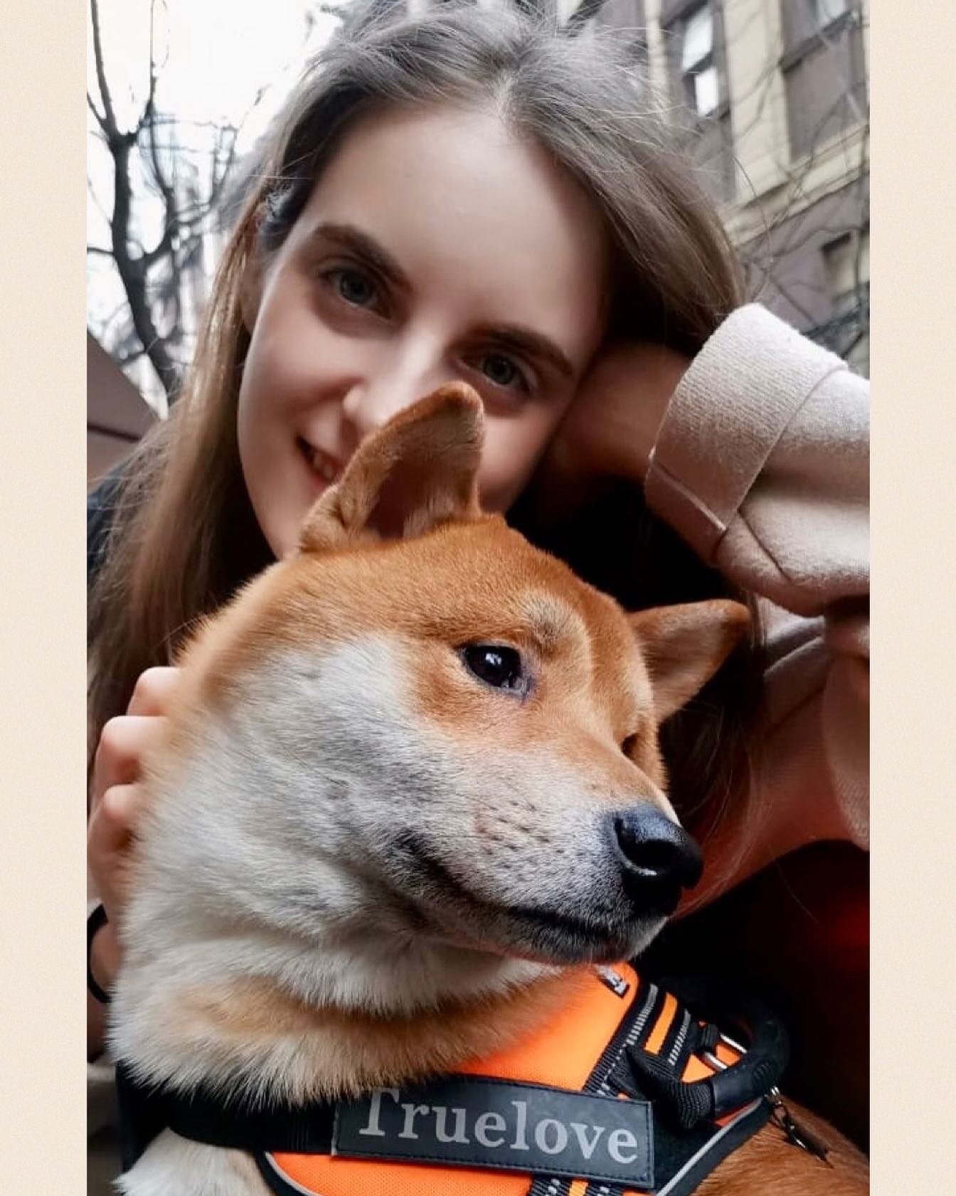 Our true love @monstershibainu 🧡 happy #internationaldogday