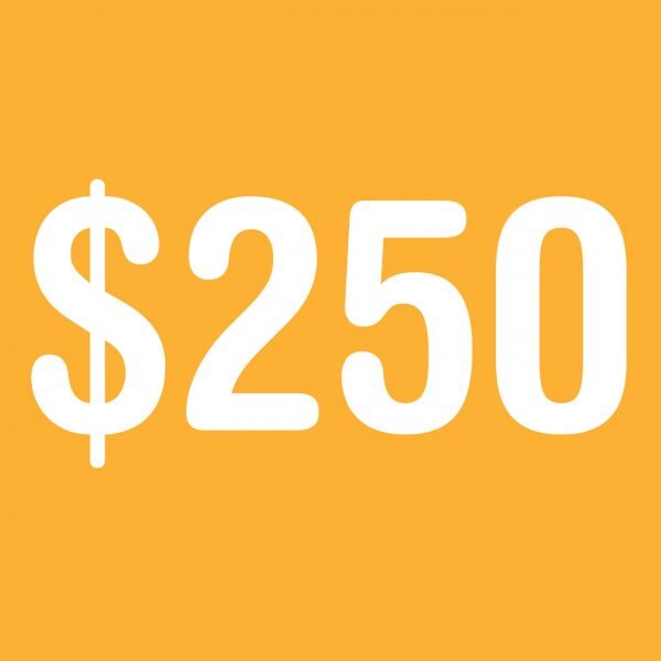 $250 Donation provides 100 meals