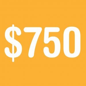 $750 Donation provides 300 meals