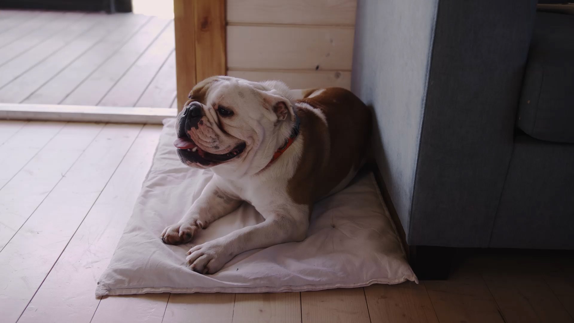 HANK_017.jpg