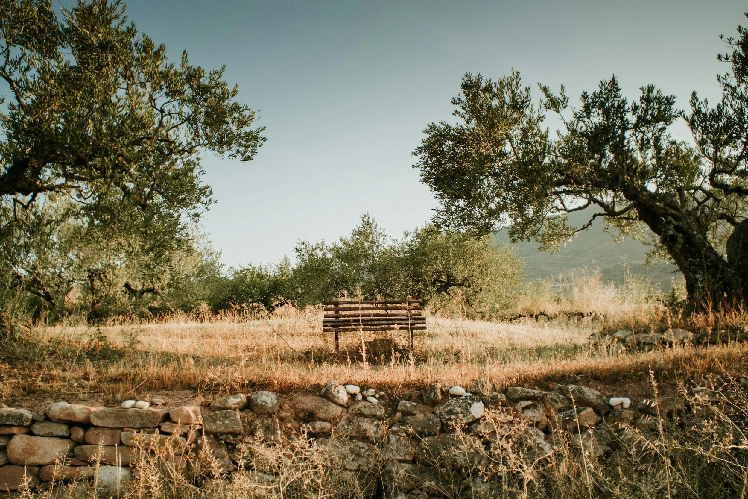 unsplash-image-gEehqhXA-w4.jpg