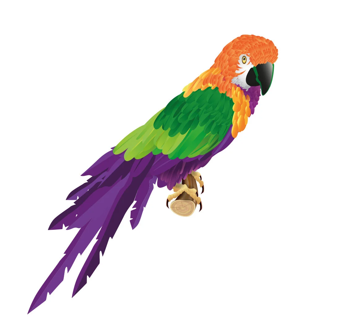 Copy of PARROT.jpg