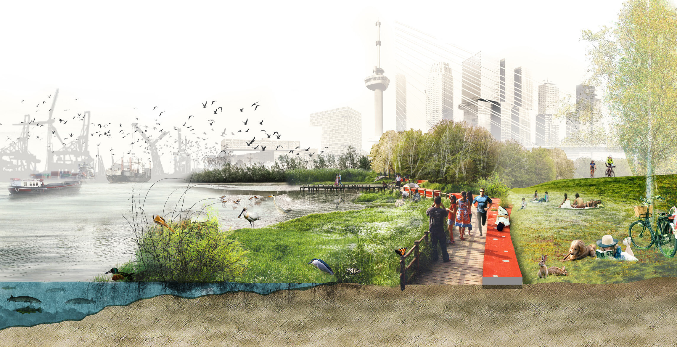 River as Tidal Park, Rotterdam