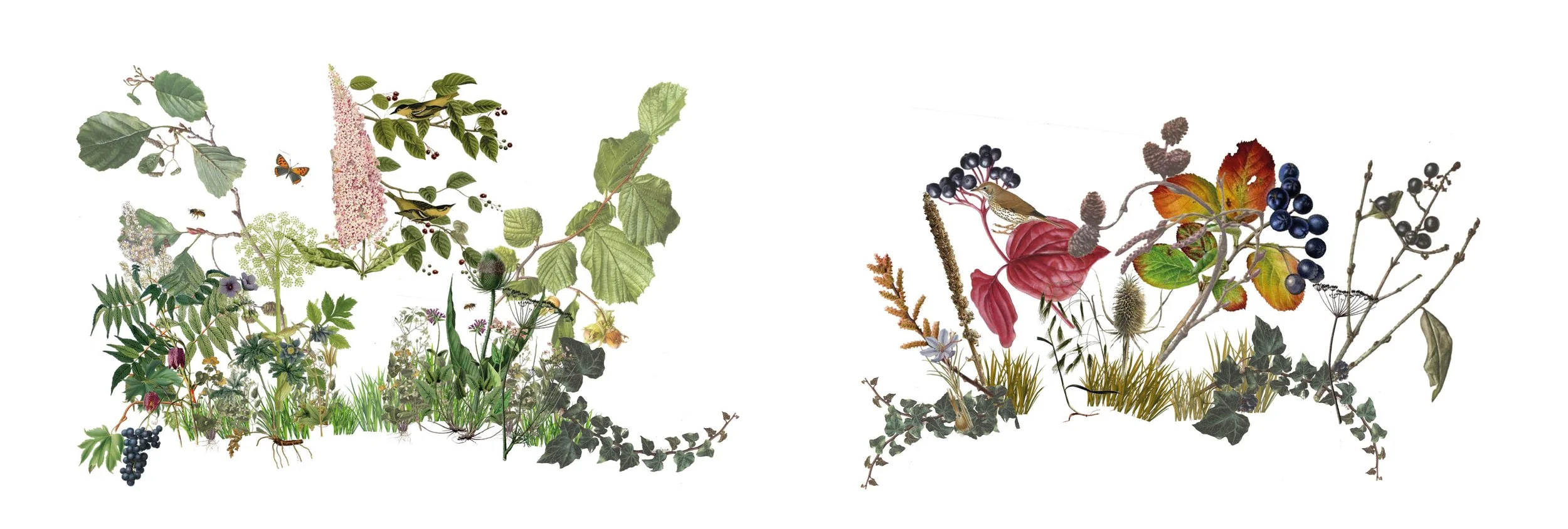 21012020_Vegetation.jpg