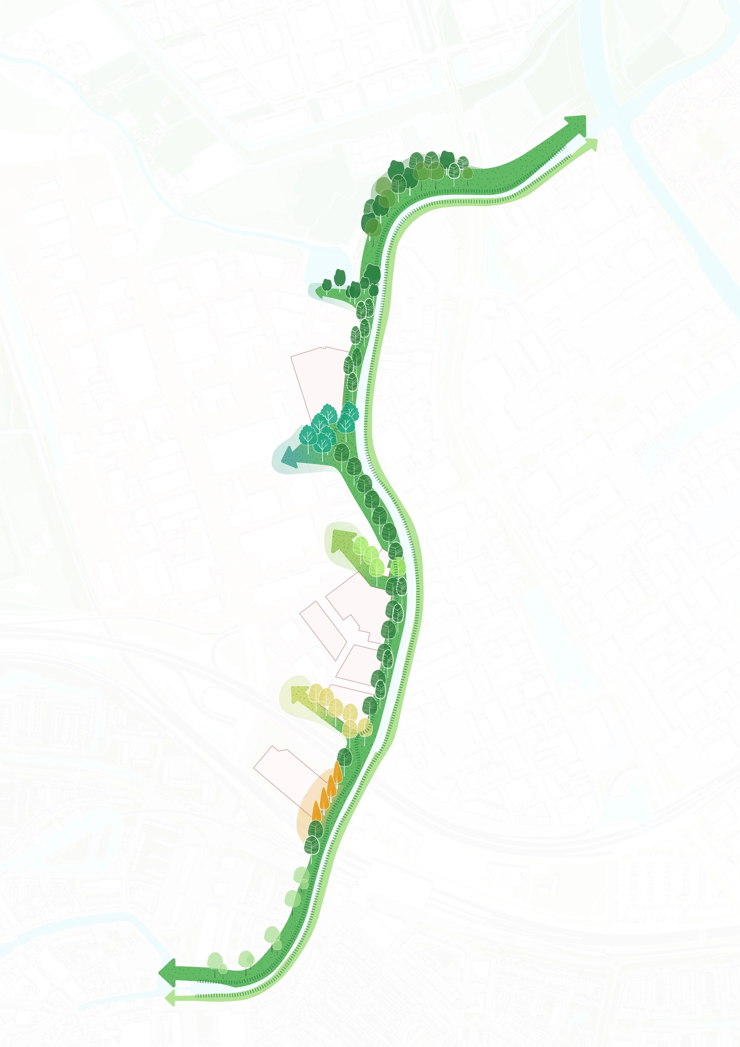 20250225-Schieoevers natuur_ambition theme activity.jpg