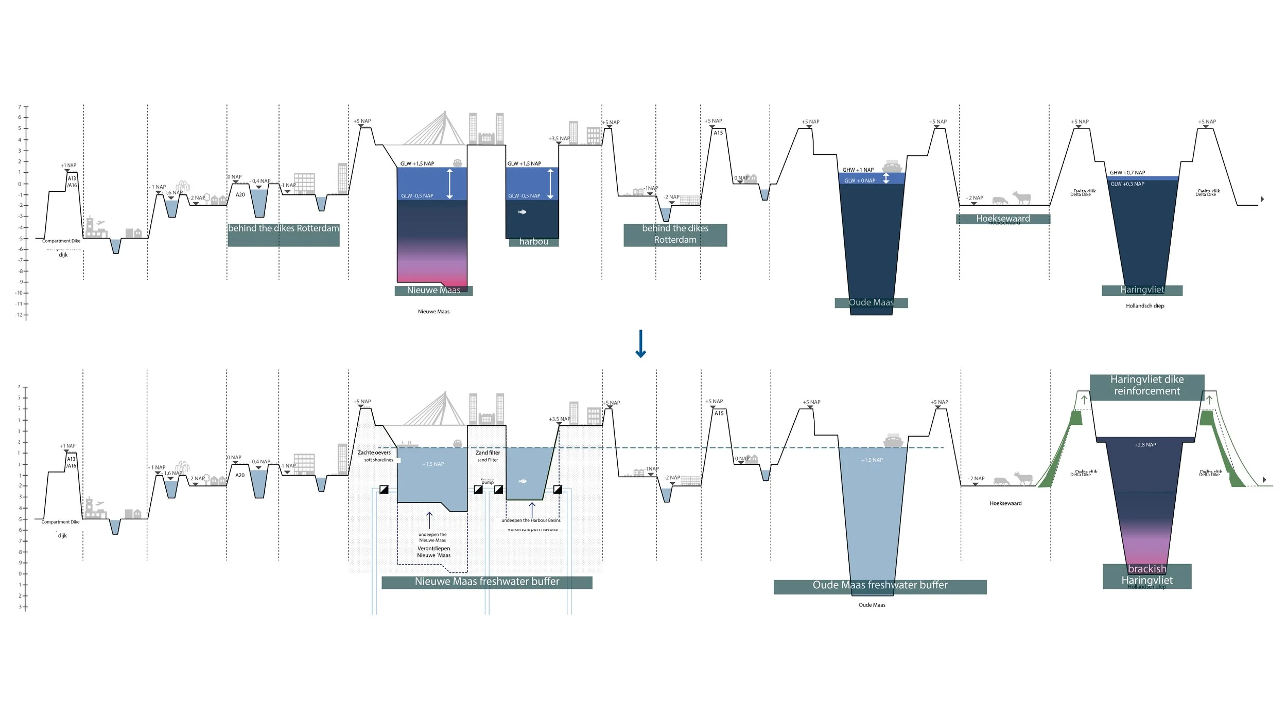 IABR website check8.jpg