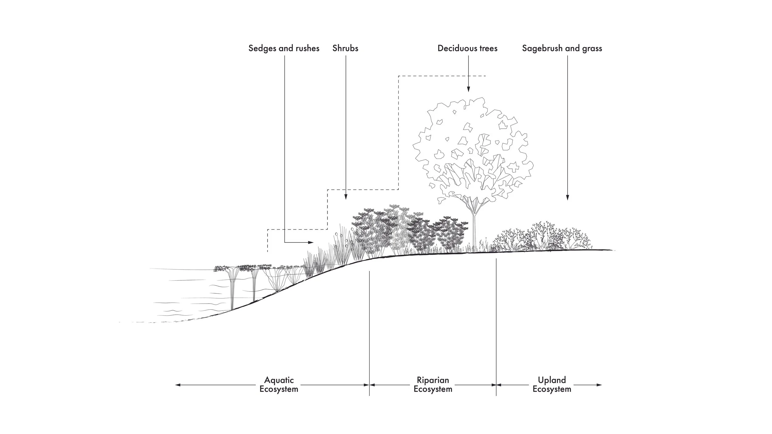 Planting for website.jpg