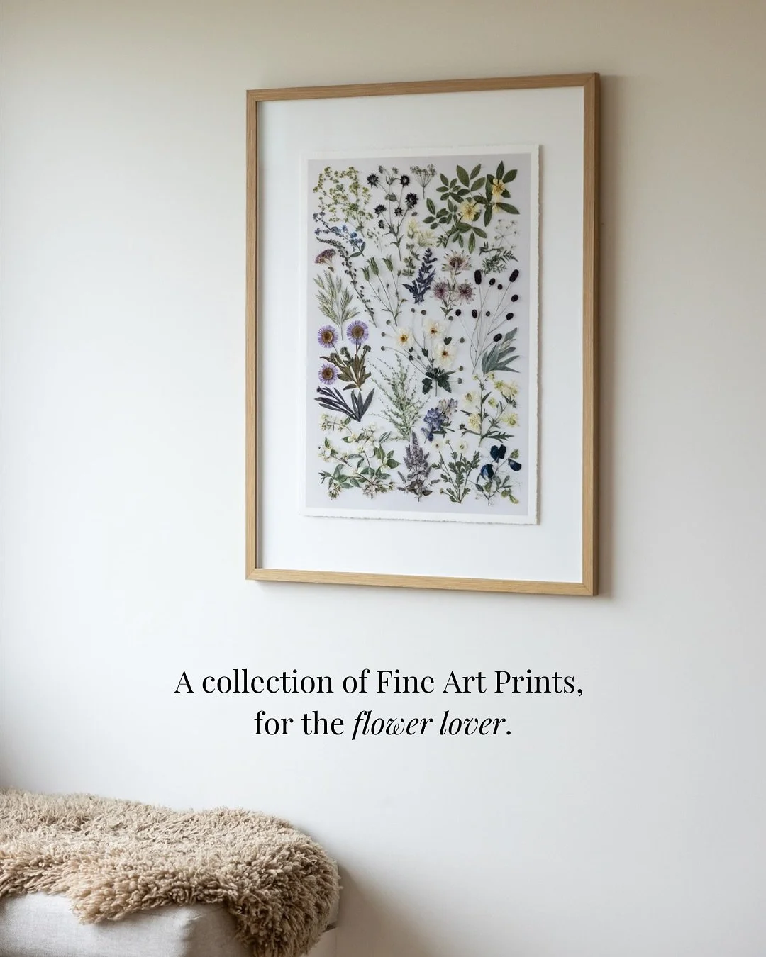 Our only SALE of the year starts now!

Enjoy 20% OFF Fine Art Prints &mdash; use code 20PERCENT at checkout, perfect for the flower lover.

Choose from Wānaka Wildflowers, Lupine Season, Wild Garden, Dark Bouquet, Garden City or Wild Pansy.

Now avai