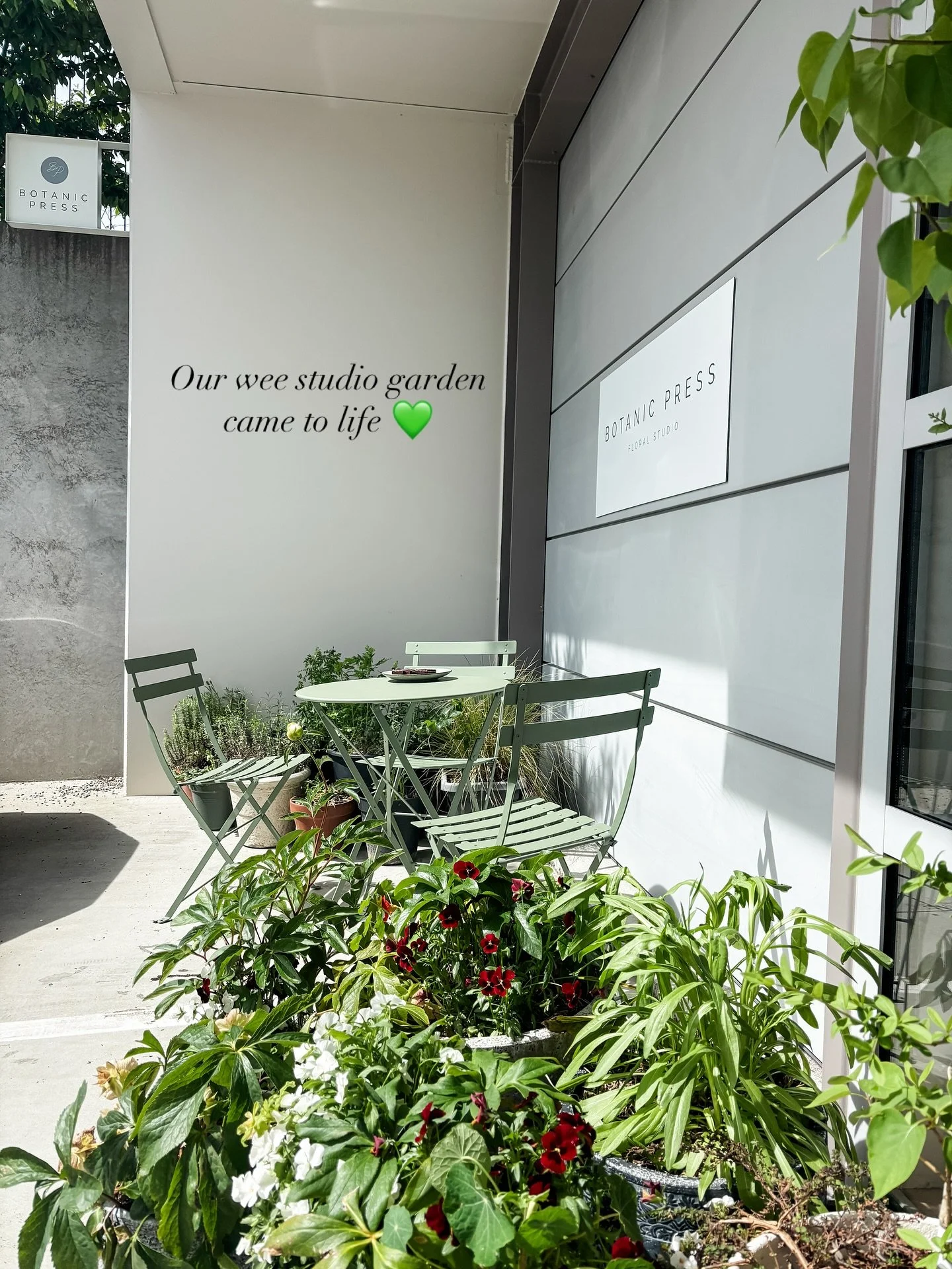 The last couple of weeks 💚💚💚