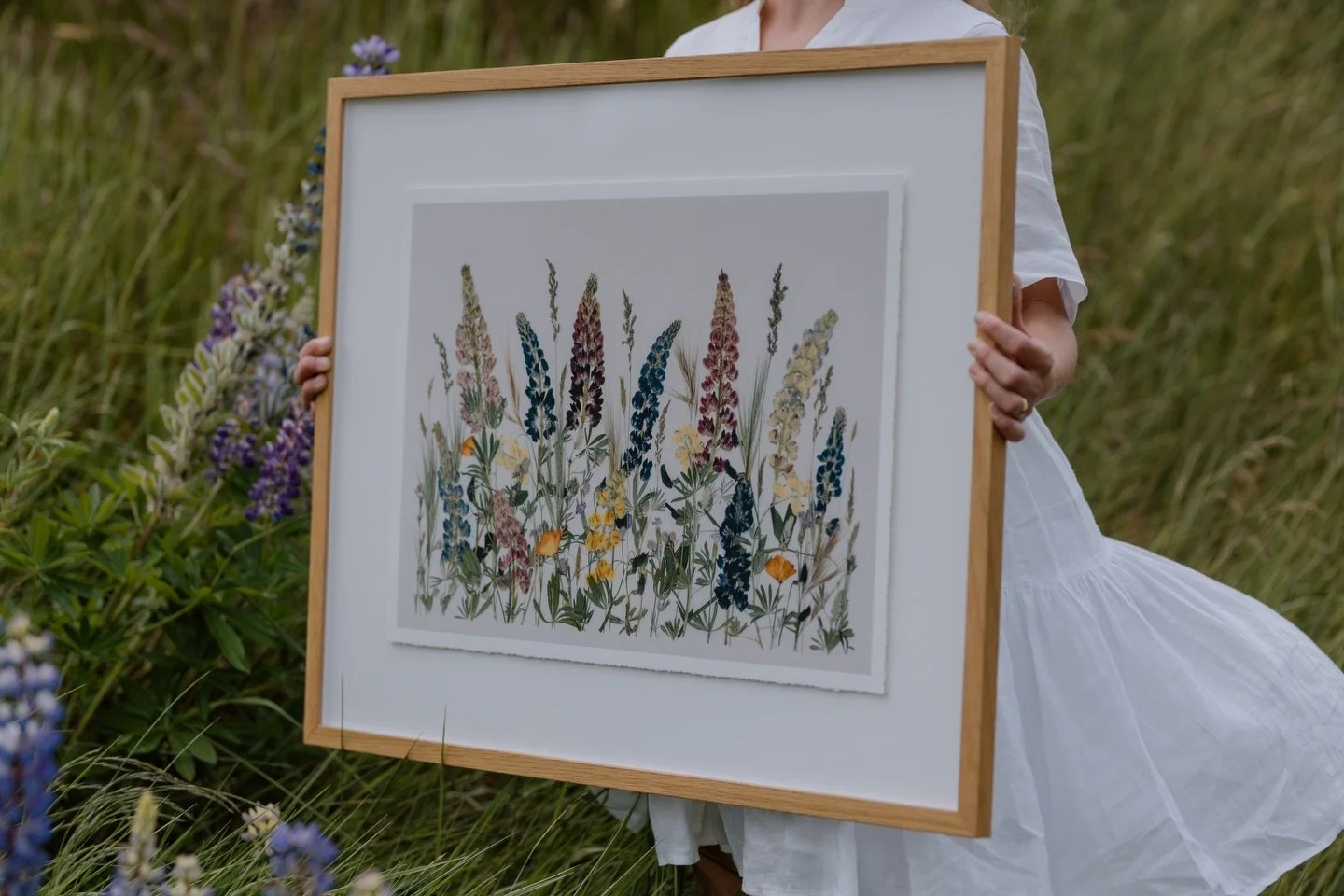 It&rsquo;s officially &lsquo;Lupine season&rsquo;🪻

Enjoy 20% OFF Fine Art Prints until this SUNDAY 23.11.25&mdash; use code 20PERCENT at checkout, perfect for the flower lover.

&lsquo;Lupine season&rsquo;&mdash; Flowers foraged from the lakeside a