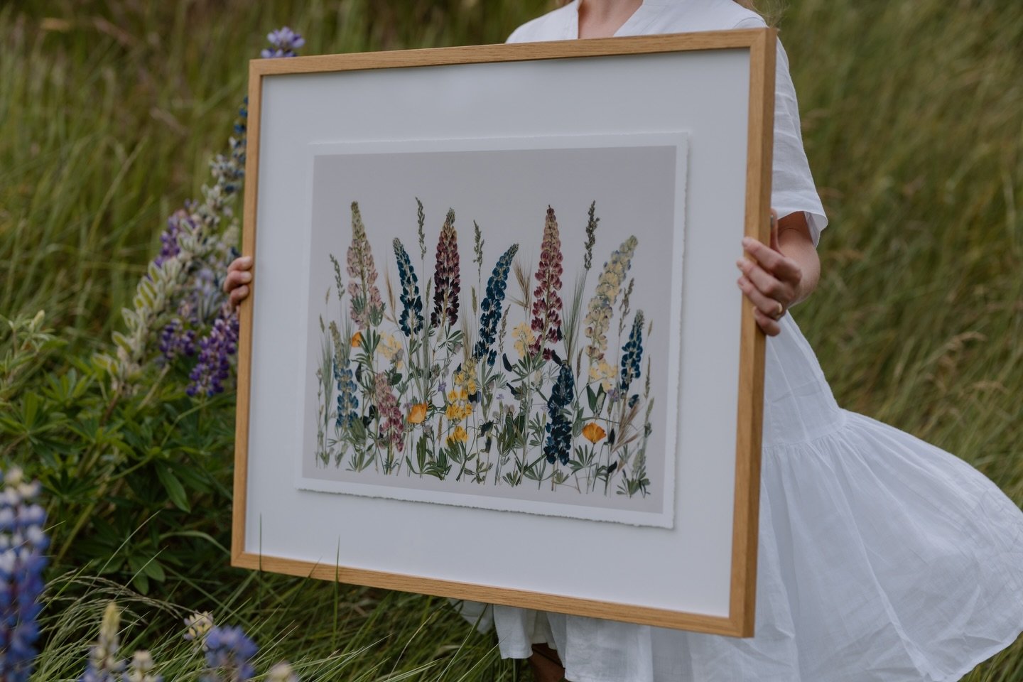 It&rsquo;s officially &lsquo;Lupine season&rsquo;🪻

Enjoy 20% OFF Fine Art Prints until this SUNDAY 23.11.25&mdash; use code 20PERCENT at checkout, perfect for the flower lover.

&lsquo;Lupine season&rsquo;&mdash; Flowers foraged from the lakeside a