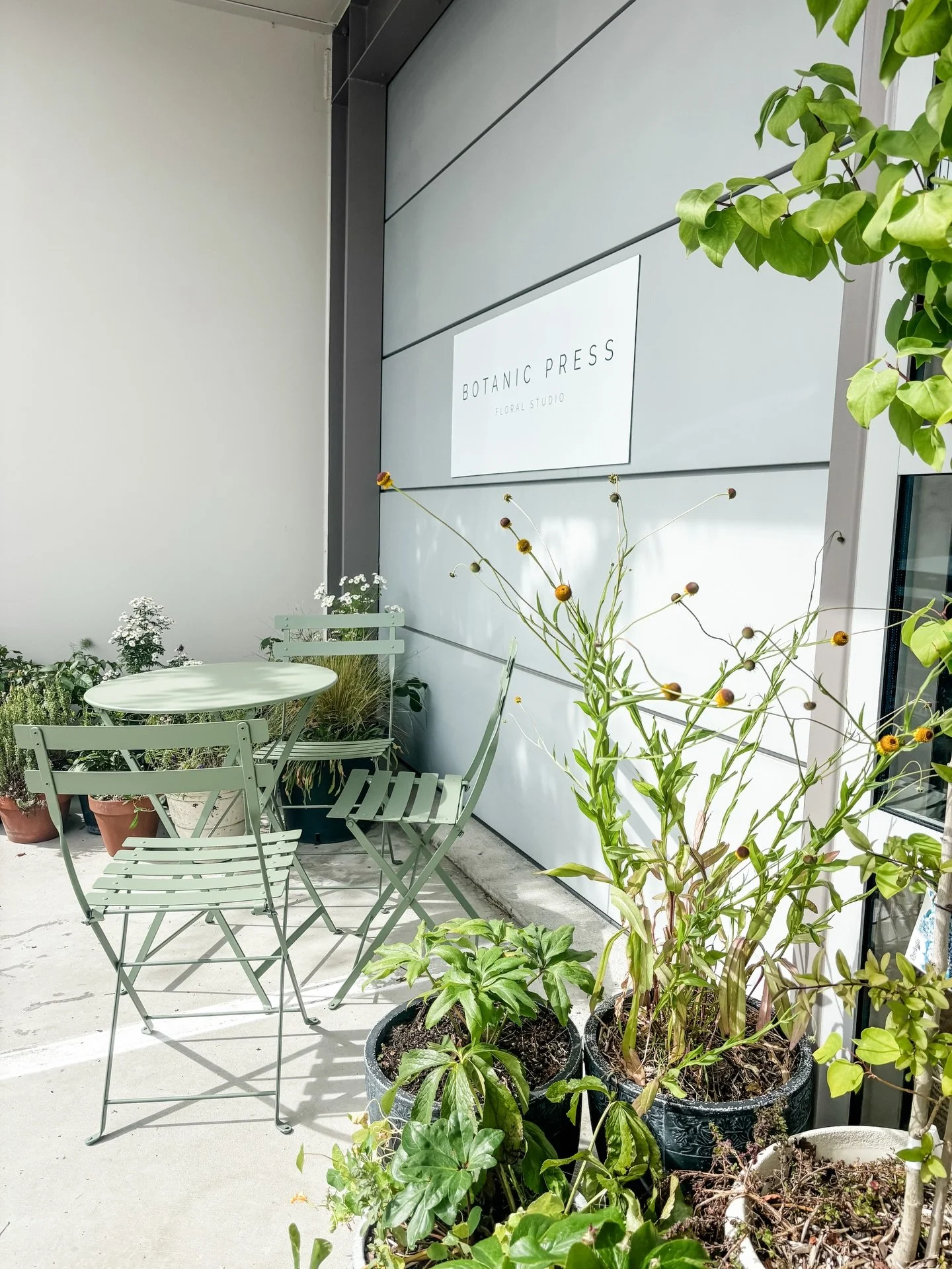 Back in the studio and easing into a new year 🤍
Holiday sunshine, summer flowers, and very exciting plans quietly unfolding behind the scenes.
2026, we&rsquo;re ready.