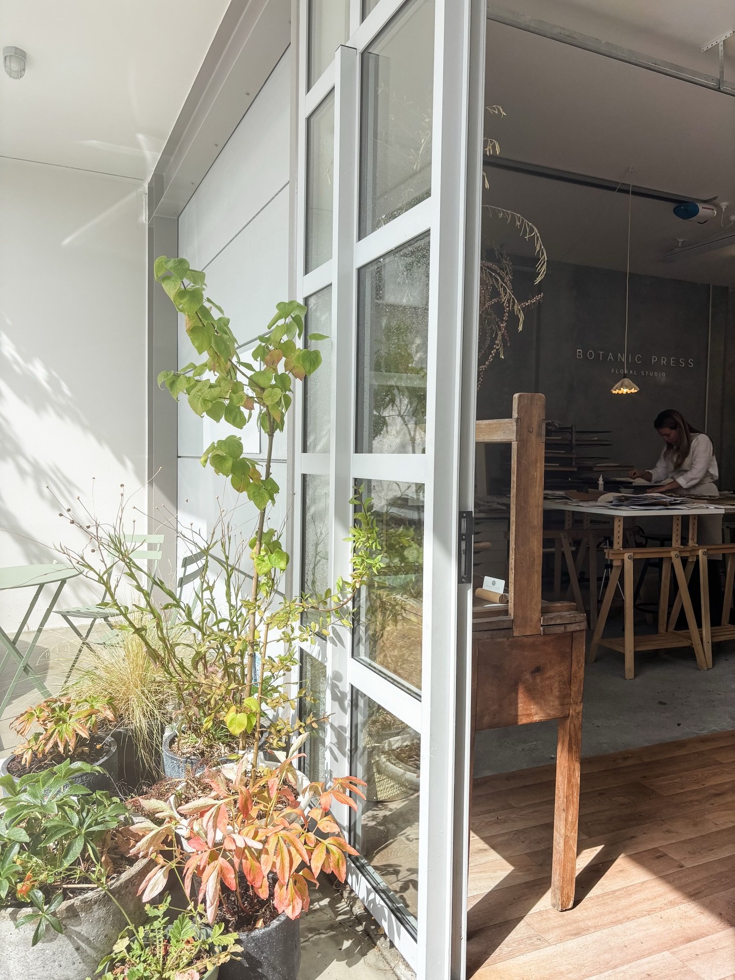 Sharing a few lovely moments from the past week 🧡