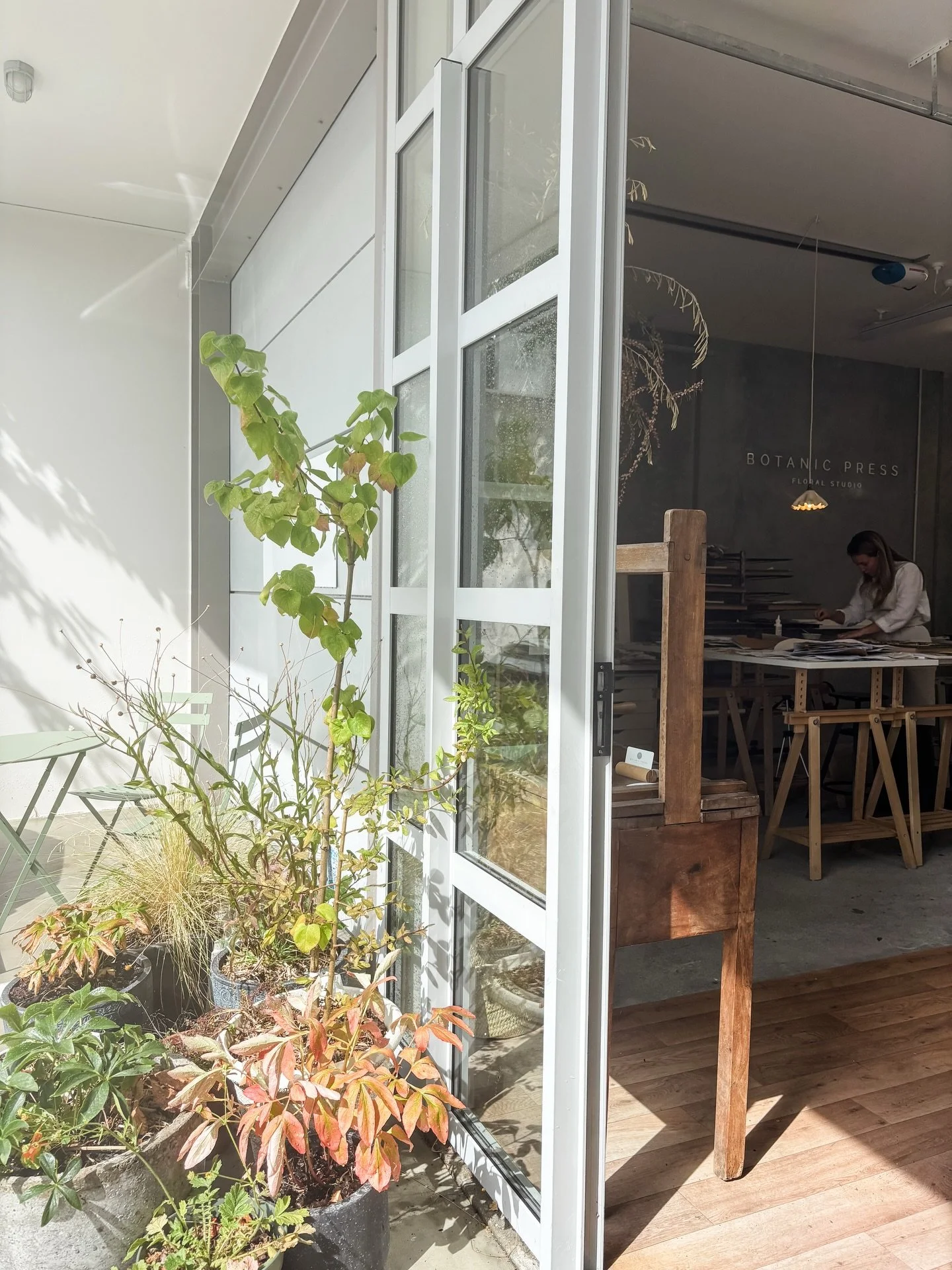 Sharing a few lovely moments from the past week 🧡