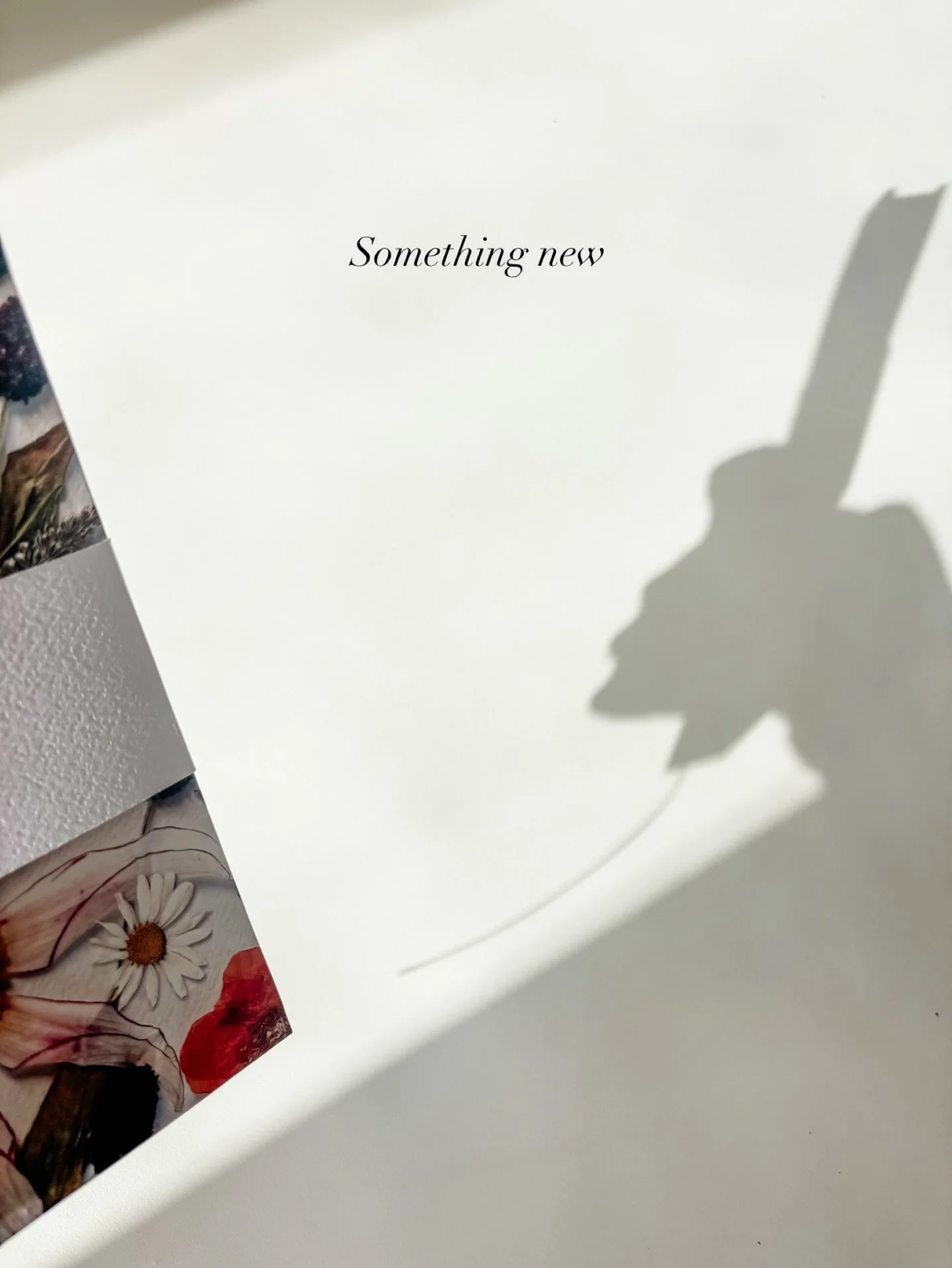 Just a glimpse&hellip; 👀
After well over a year of dreaming, refining and perfecting &mdash; we&rsquo;re almost ready to share it with you.
Not long now ❤️