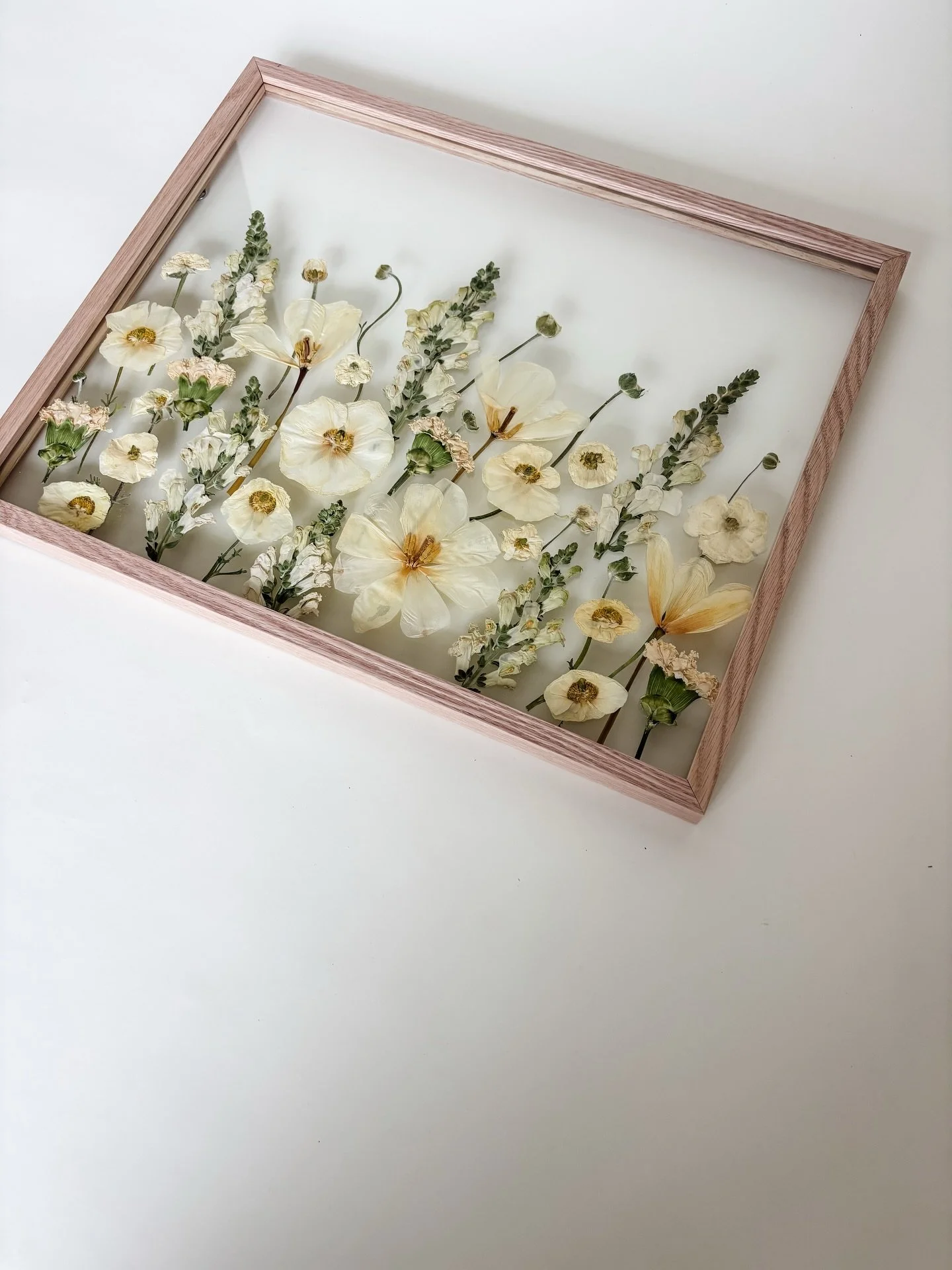 For the white lovers 🤍🤍🤍 

Classic | Meadow | Oak