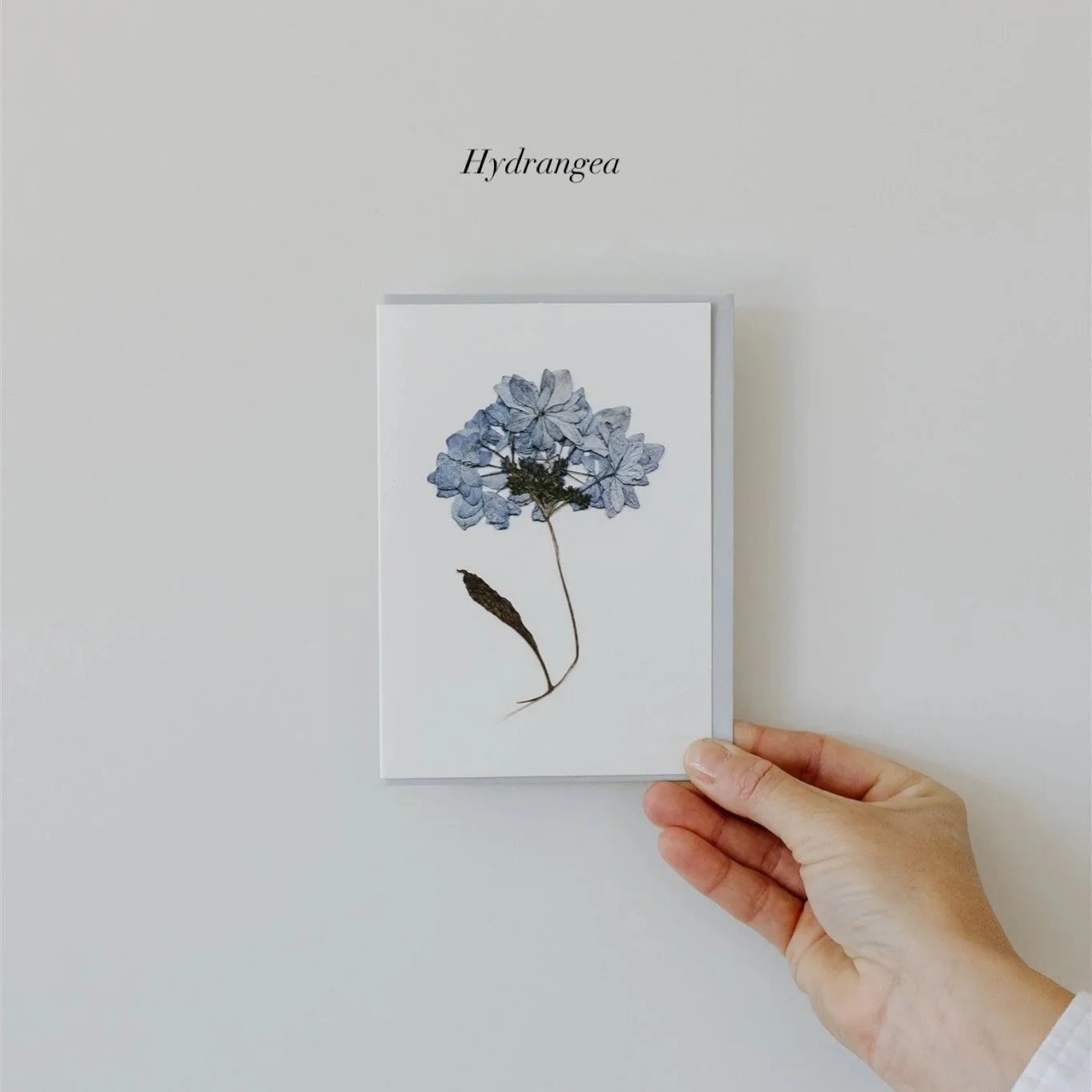 Mother&rsquo;s Day is just around the corner &mdash; and we&rsquo;re including a FREE card of your choice with your Paper Goods order. Simply add your favourite and use code MOTHERSDAY at checkout. You are also welcome to treat yourself 🤍

We can al