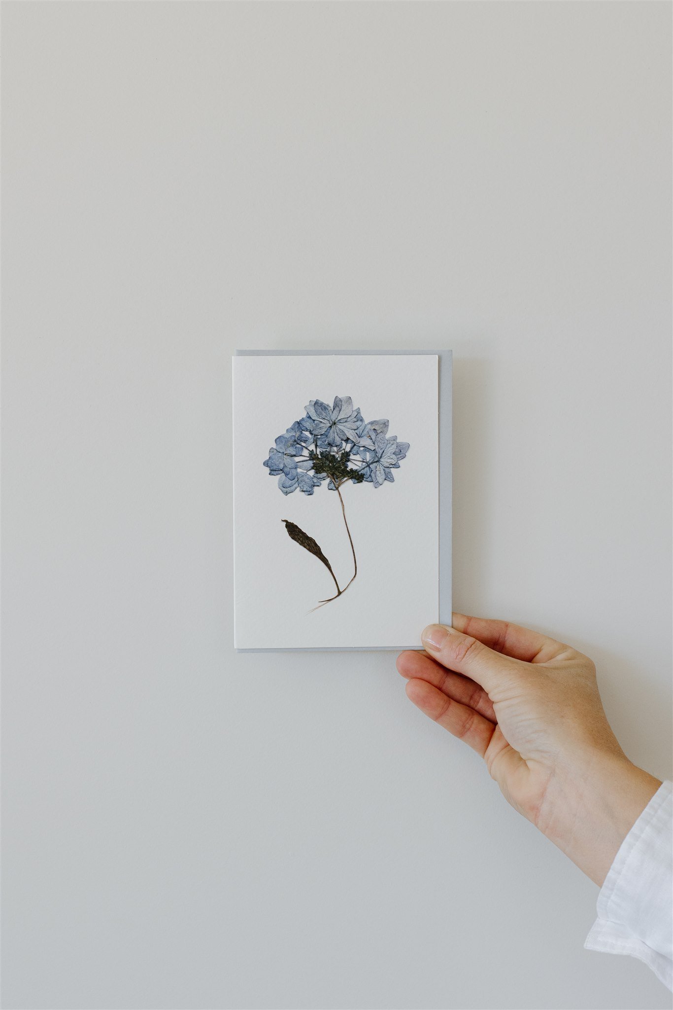Hydrangea — A6 Card