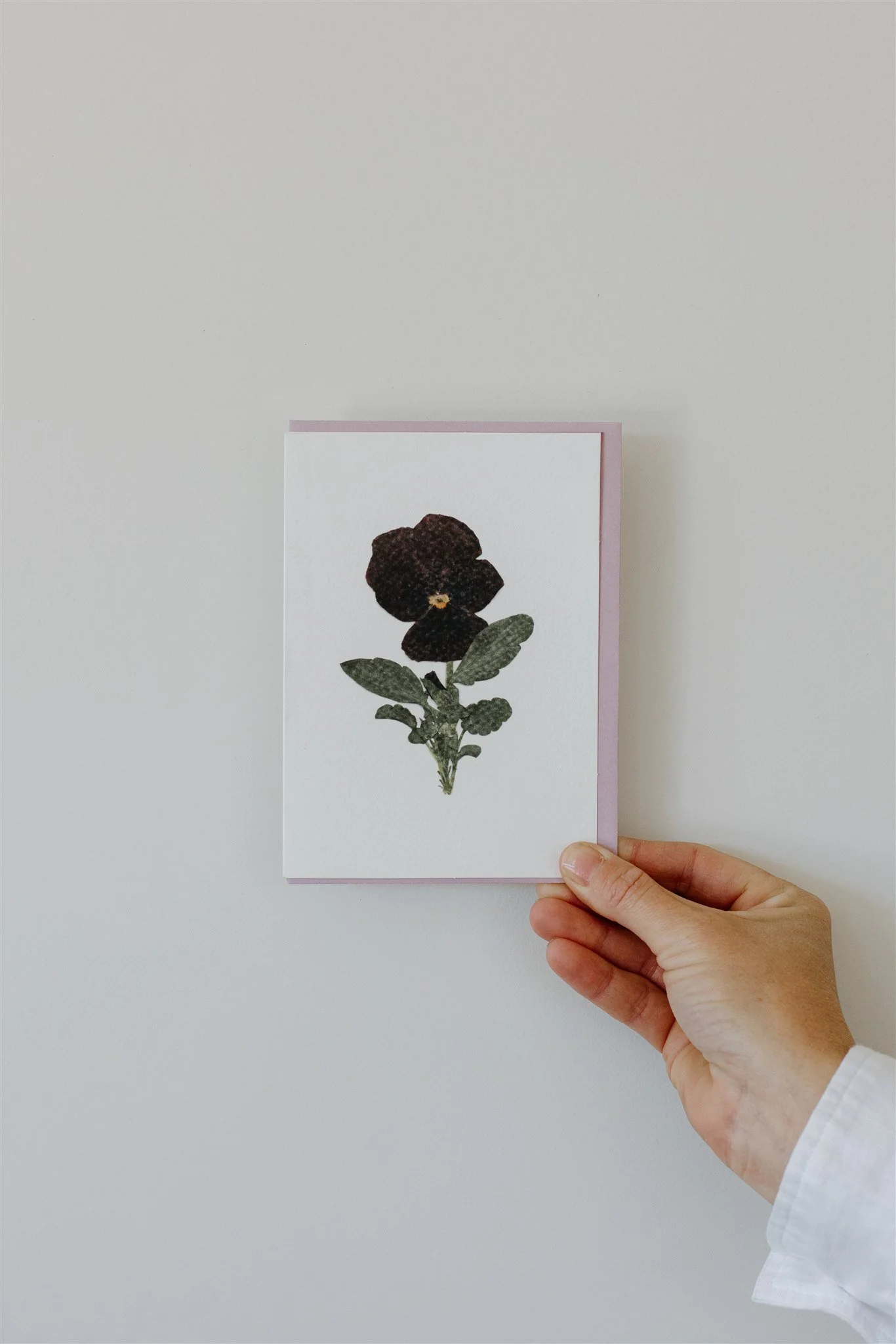 Pansy — A6 Card