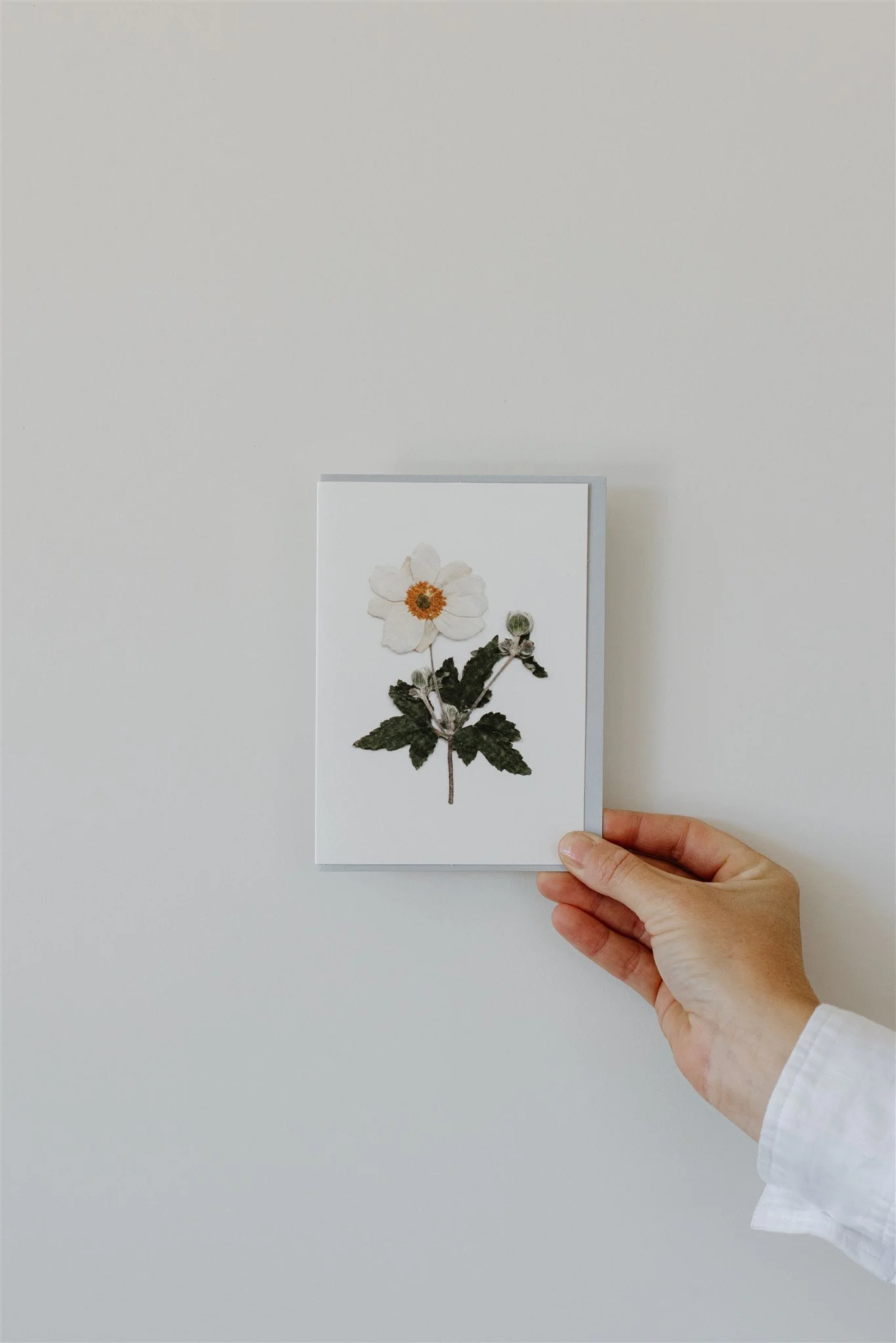 Japanese Anemone — A6 Card