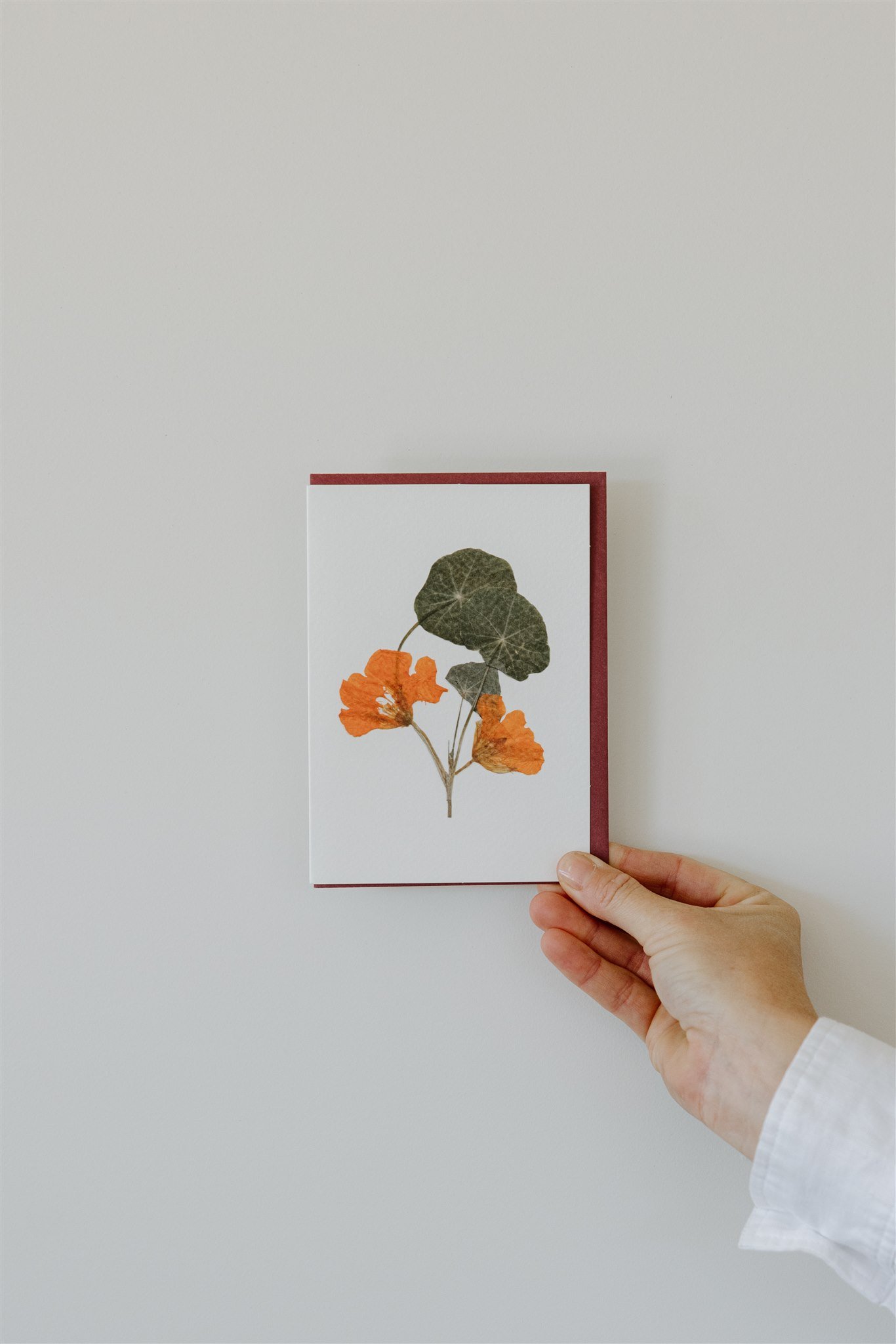 Nasturtium — A6 Card