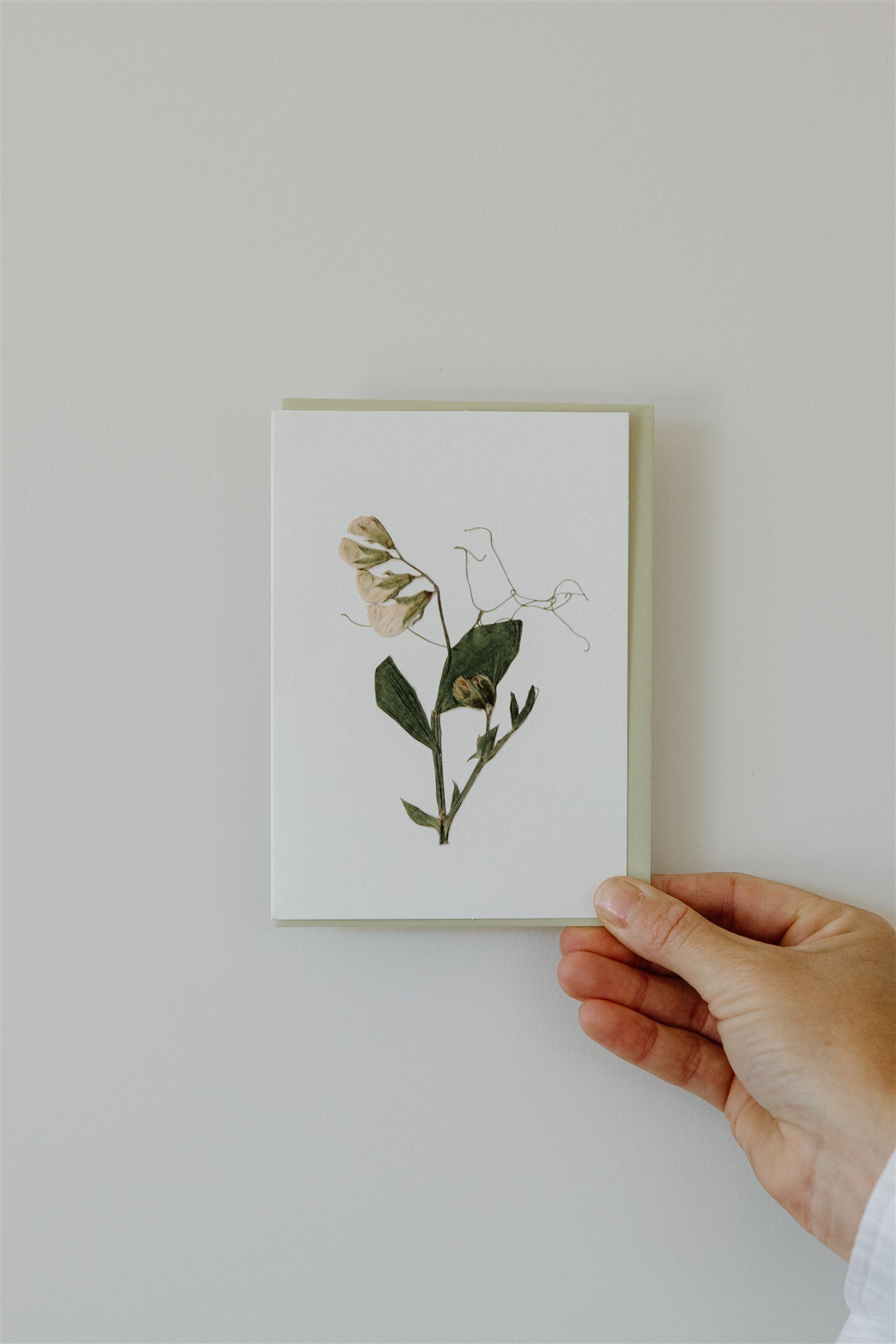 Sweet Pea — A6 Card